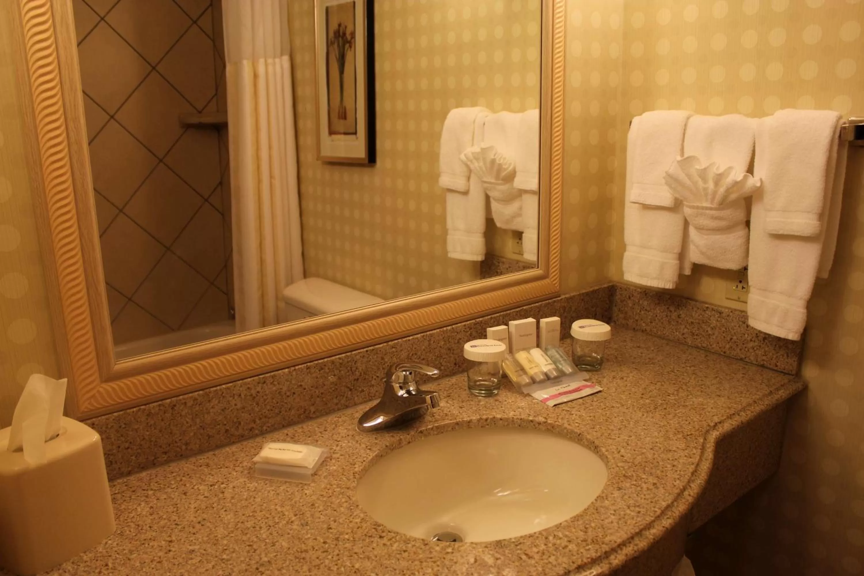 Bathroom in Hilton Garden Inn Starkville