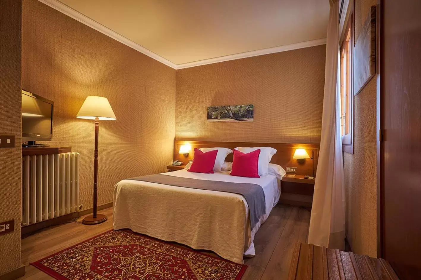 Standard Double Room in Hotel-Hostal Sport Standard Double Room in Hotel-Hostal Sport