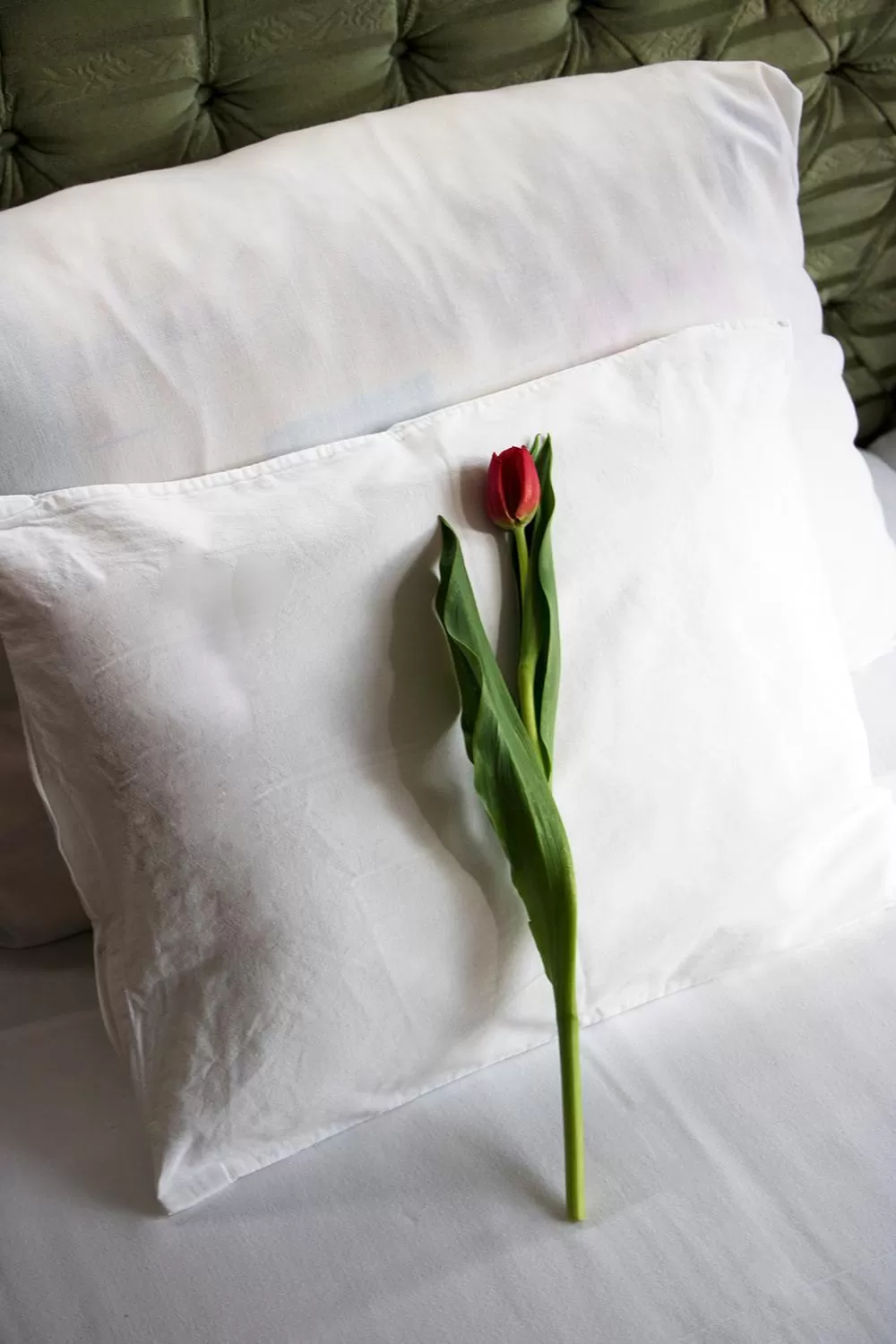 Bed in Várfal Wellness Panzió