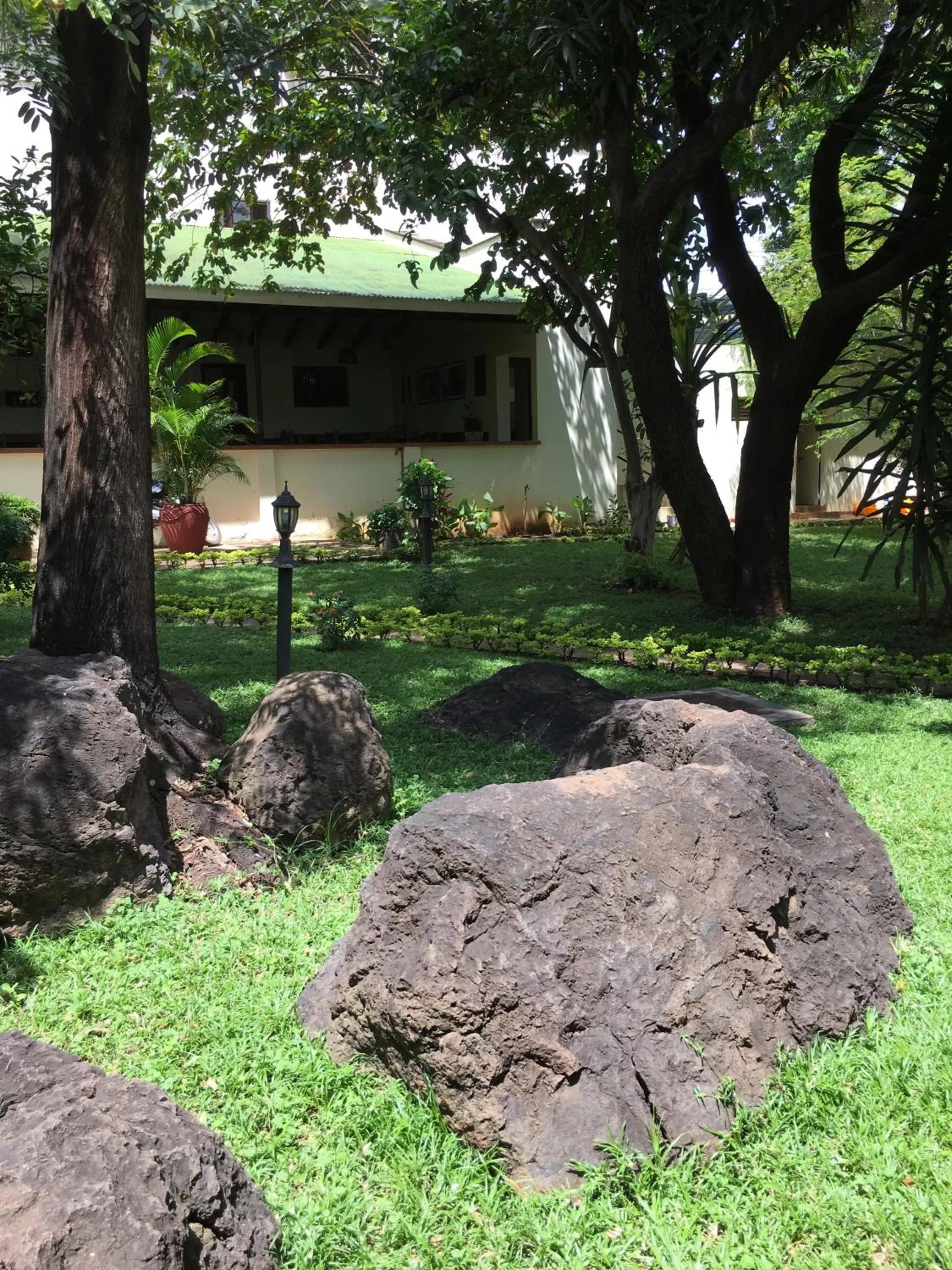Garden, Property Building in Bristol Cottages Kilimanjaro