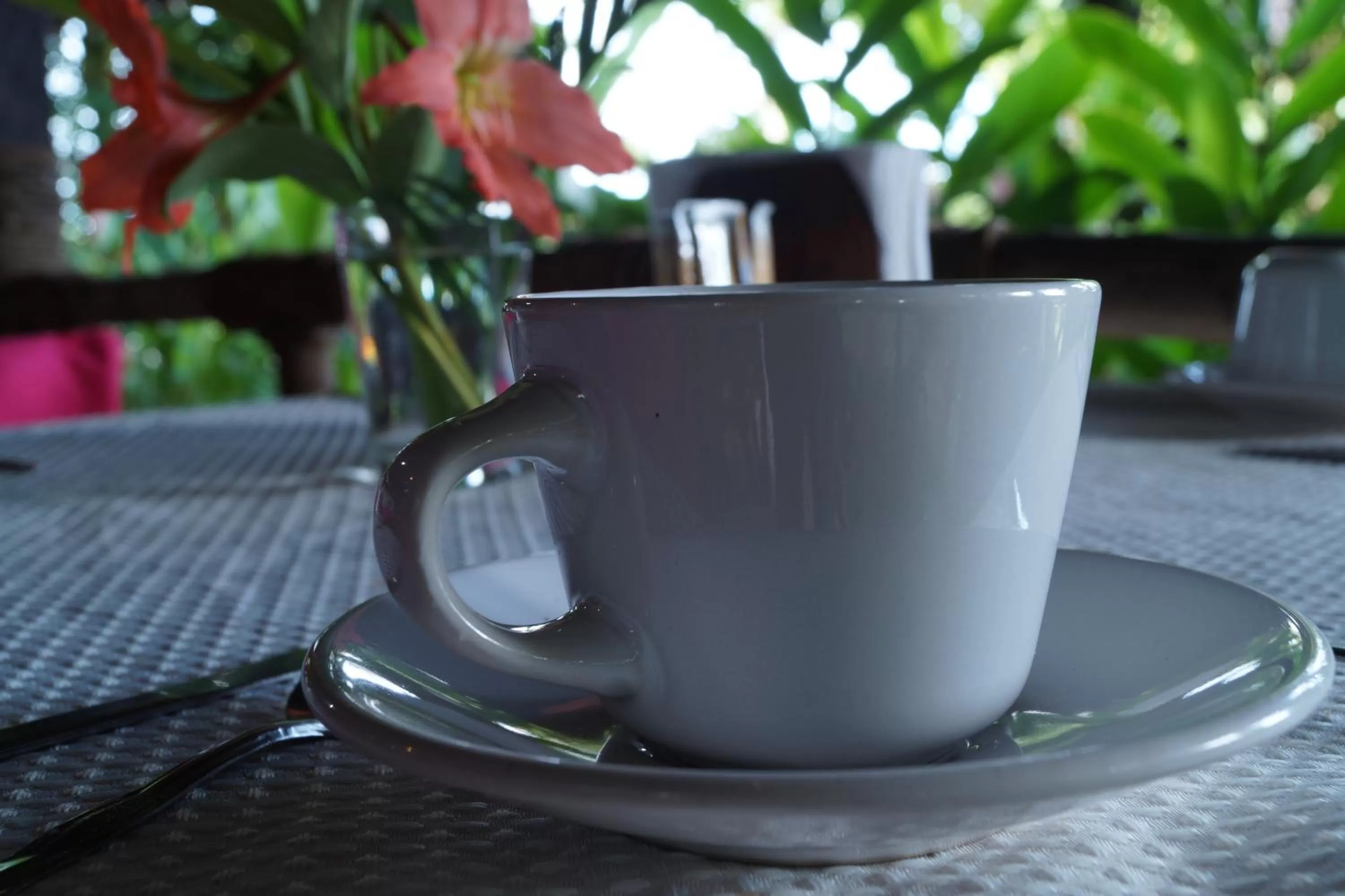 Restaurant/places to eat in Hotel La Aldea del Halach Huinic