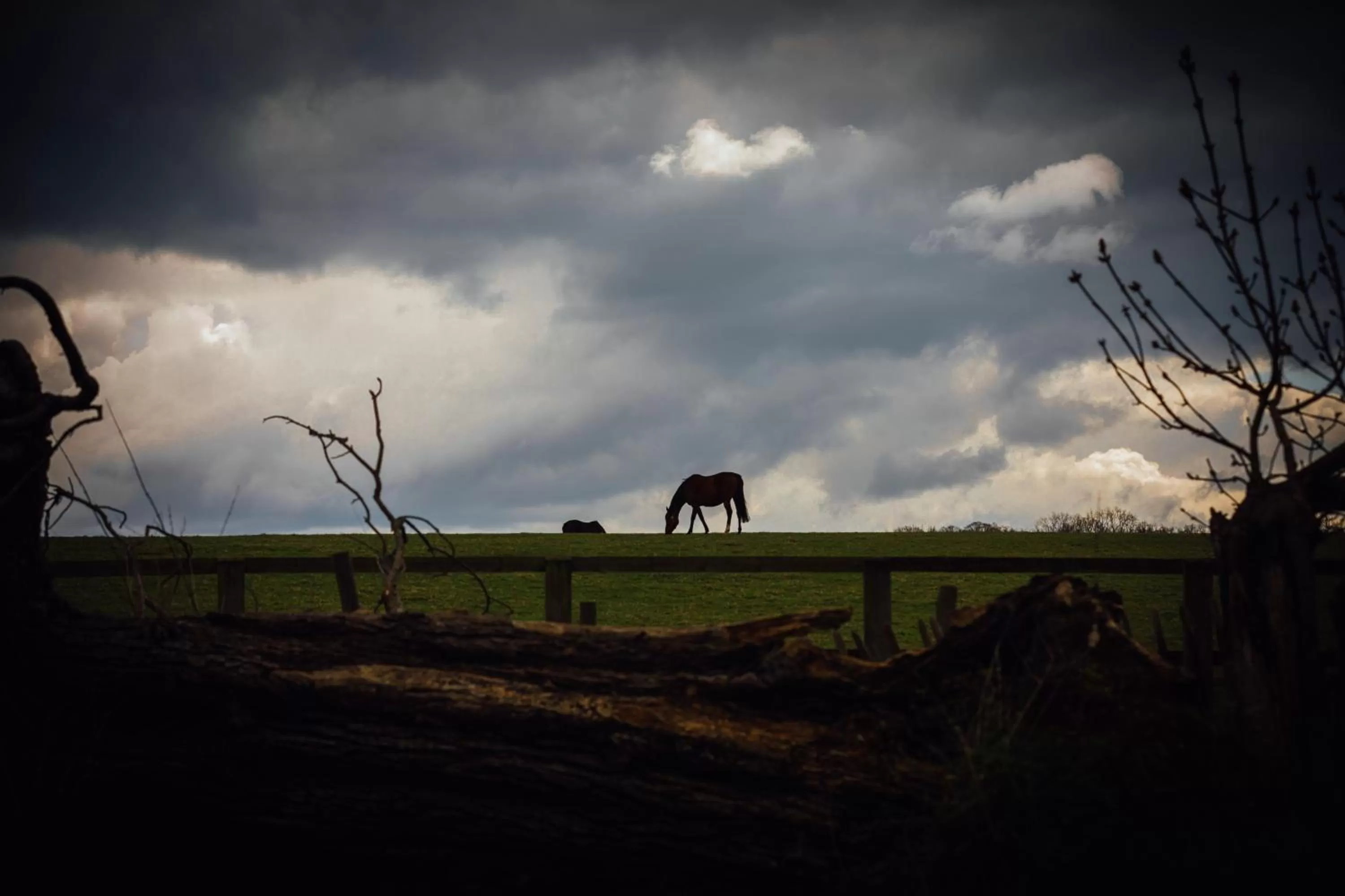 Location in The Woburn