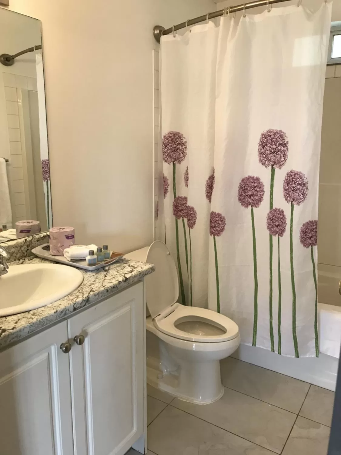 Shower in Duncan Motel