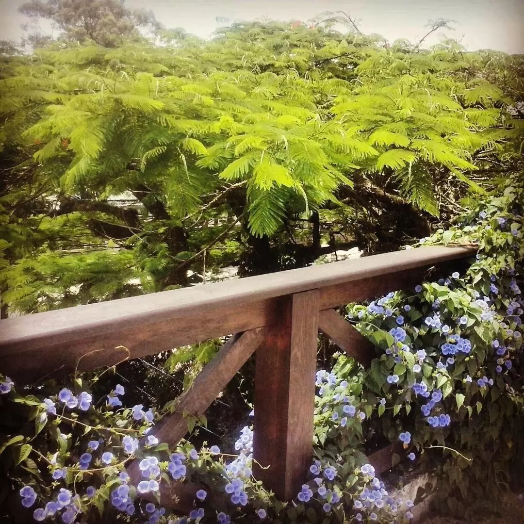 View (from property/room) in Pousada Green