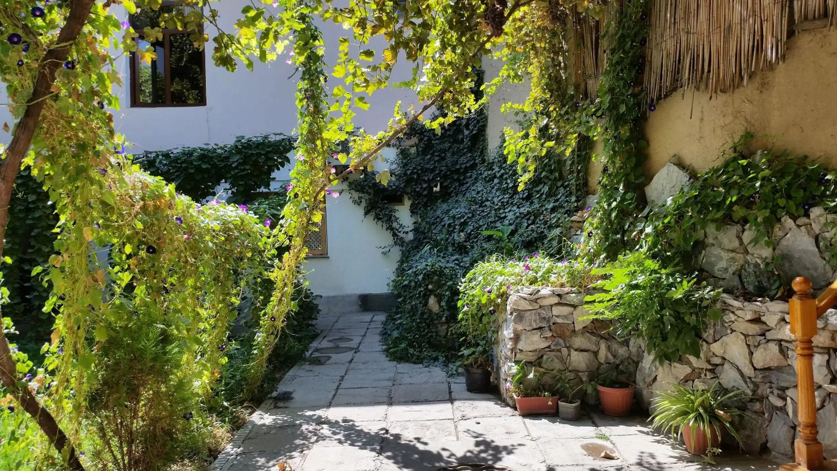 Day in Jahongir Guest House