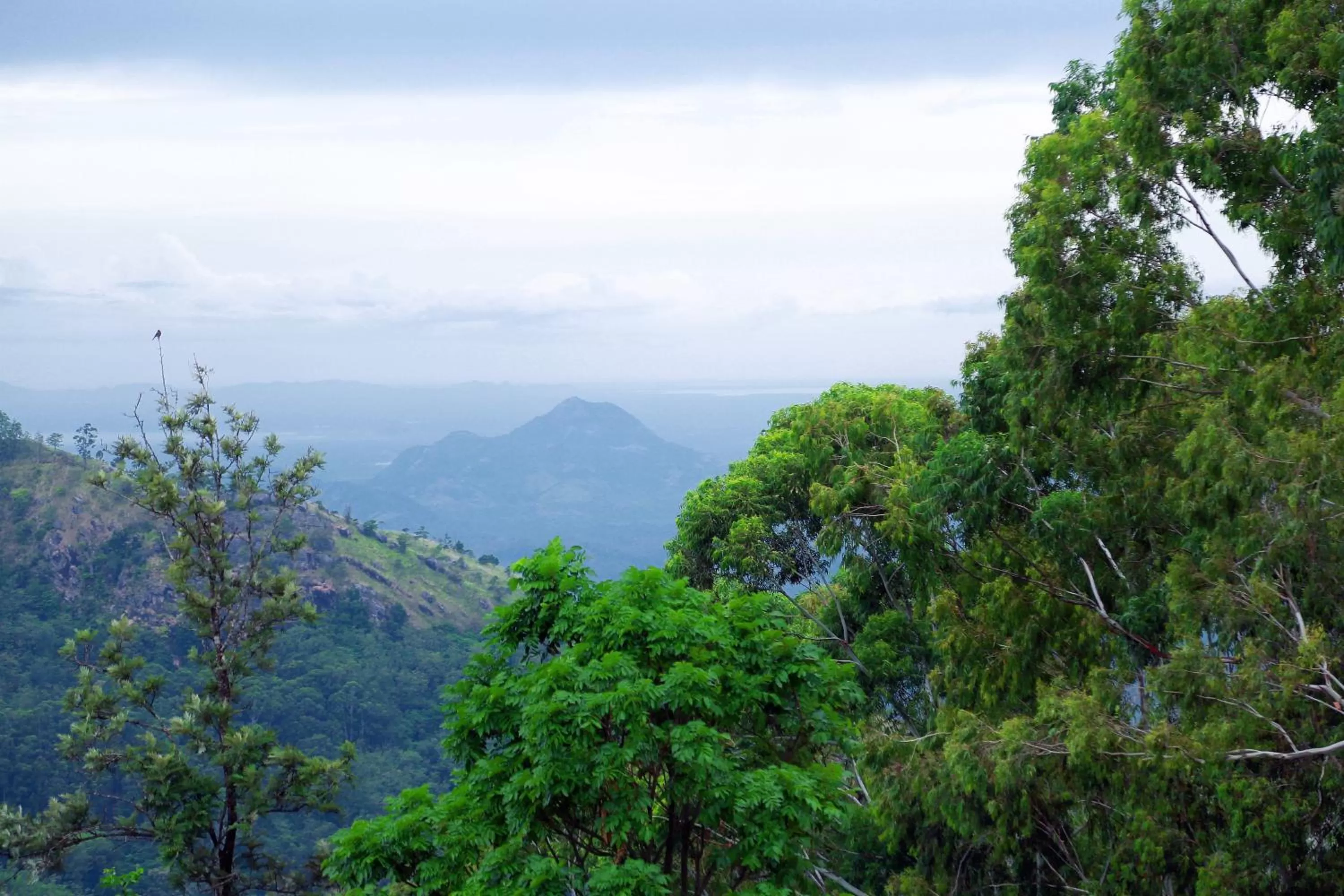 Mountain view in Box on clouds
