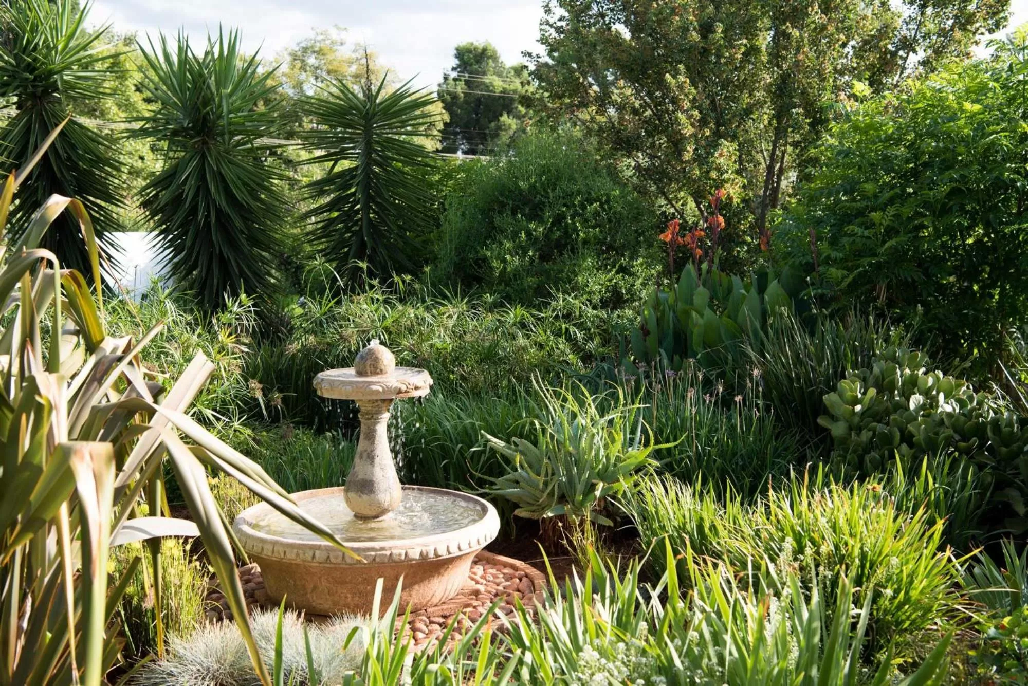 Garden view in Amohela Guesthouse