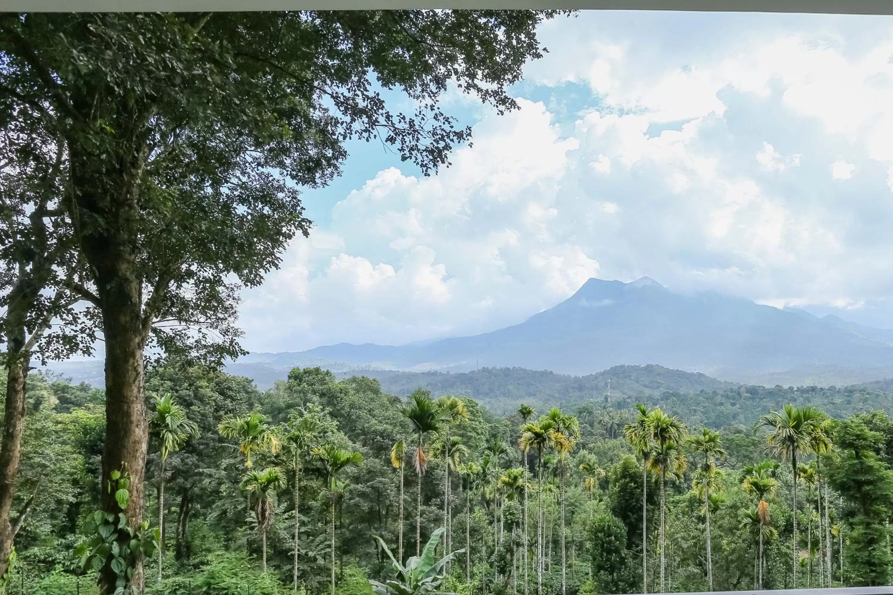 Mountain View in Woodrose Resort