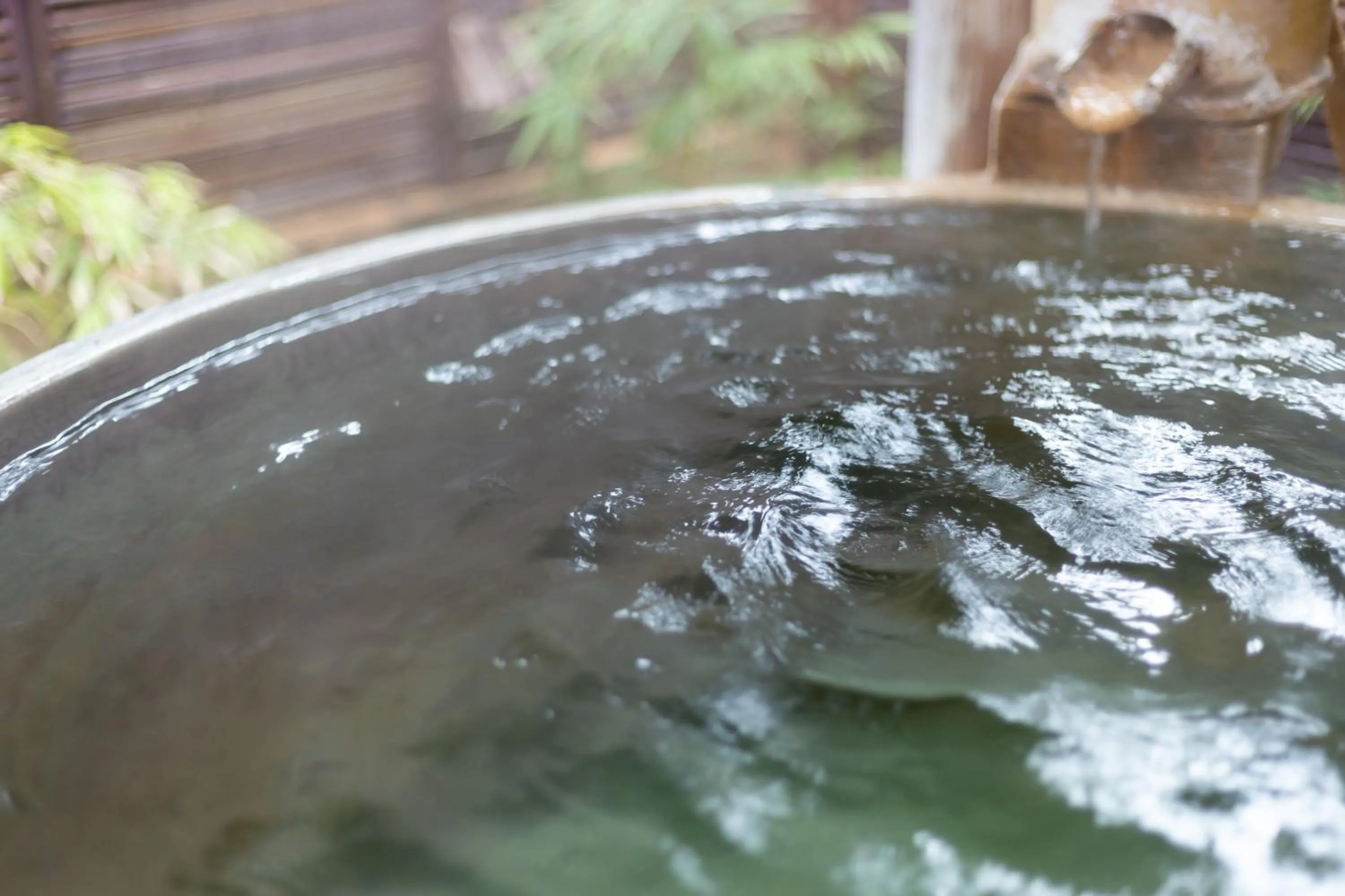 Hot Spring Bath in Oyado Ichizen