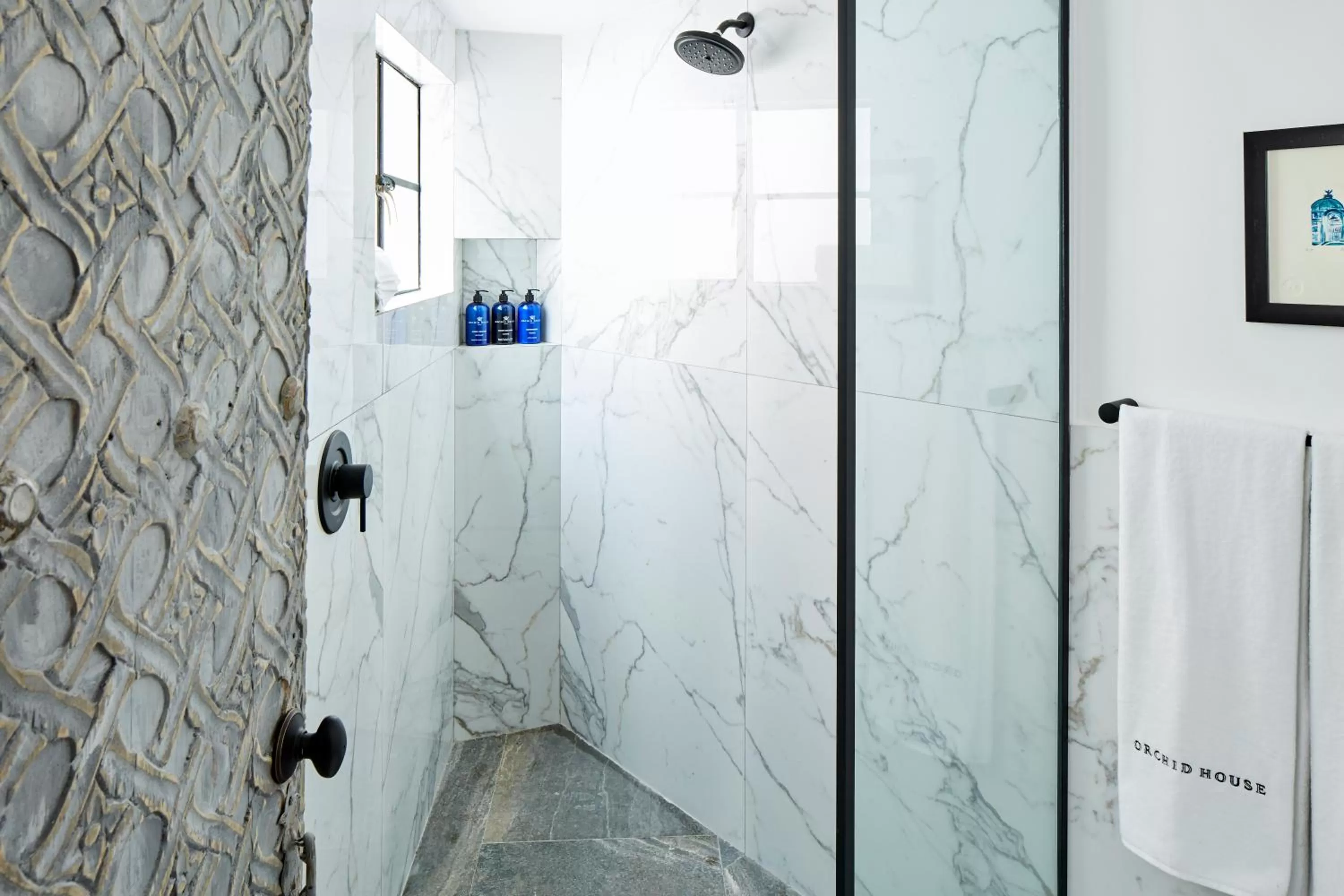 Shower in Orchid House Mexico City