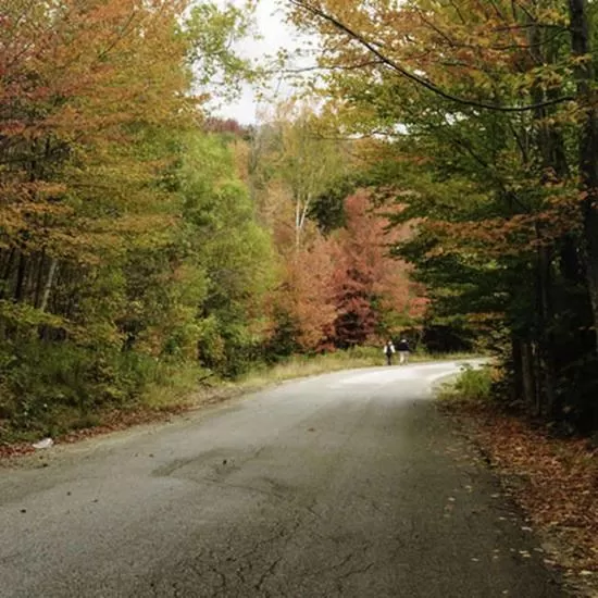 Street view in Snowy Owl Inn