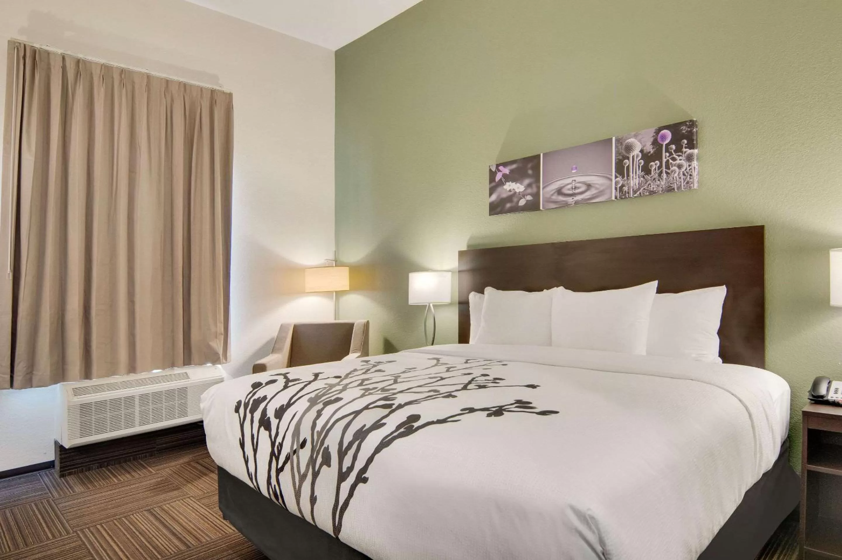 Bedroom, Bed in Sleep Inn Dallas Northwest - Irving