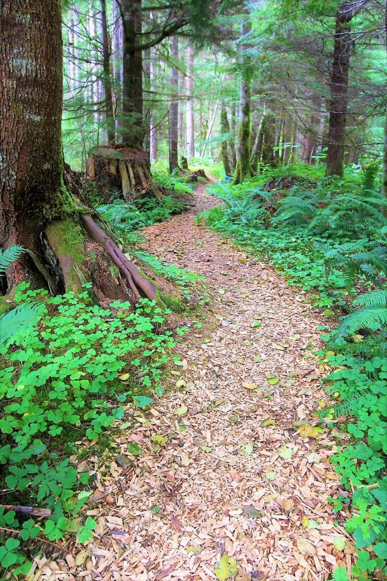 Natural landscape in Alexander's Lodge