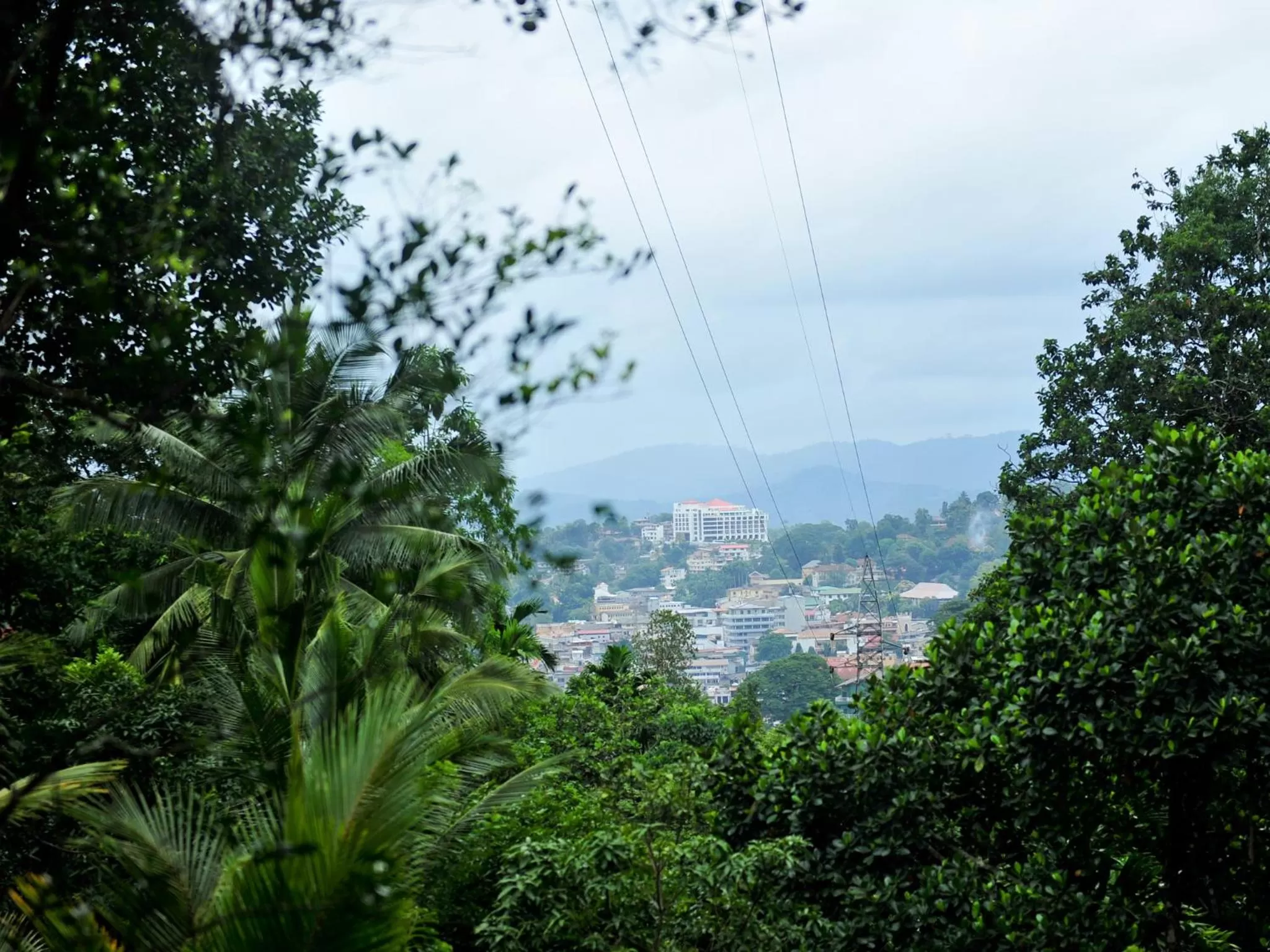 Natural landscape in Resort Beam