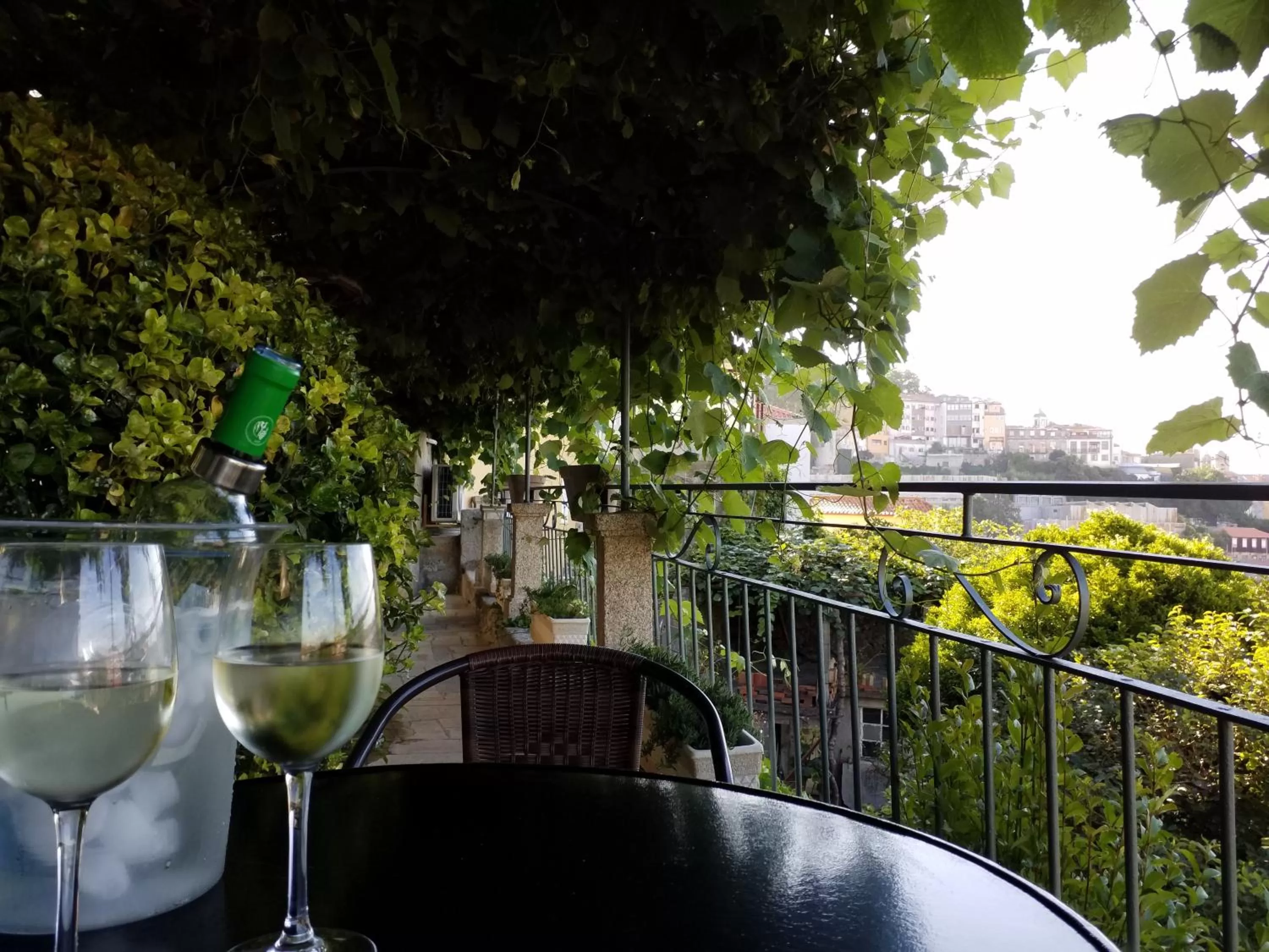 Garden in Private Villa Porto