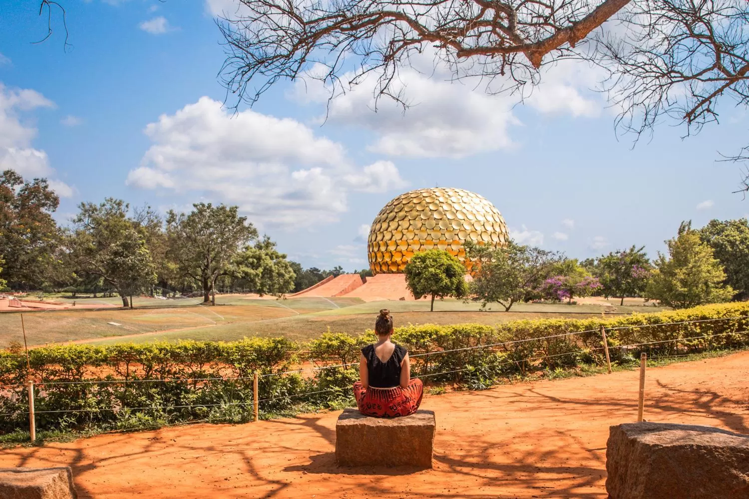 Activities in PLUTUS RESIDENCY