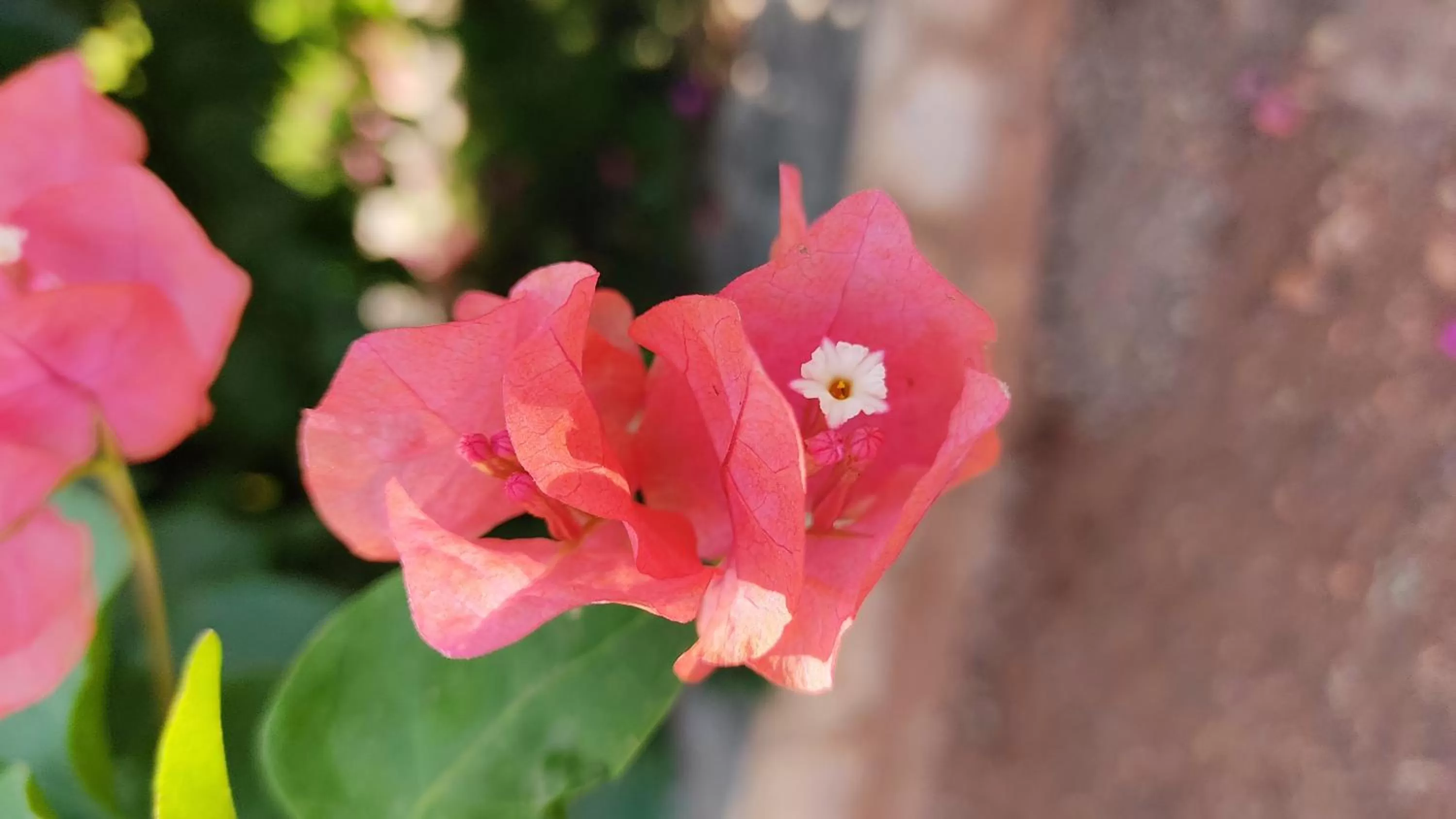 Area and facilities in Kanthi Resorts Badami