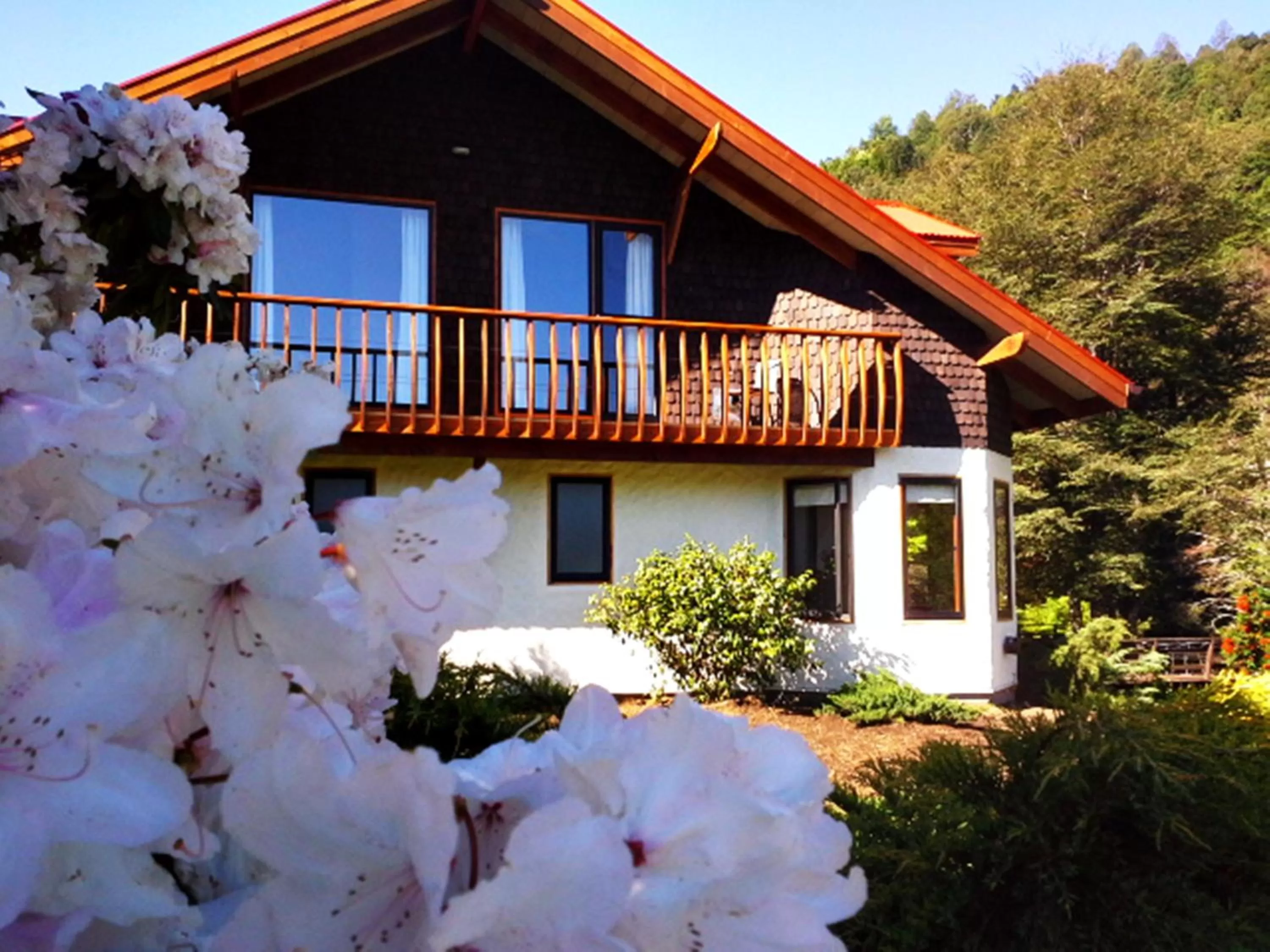 Property Building in Hotel Salto del Carileufu