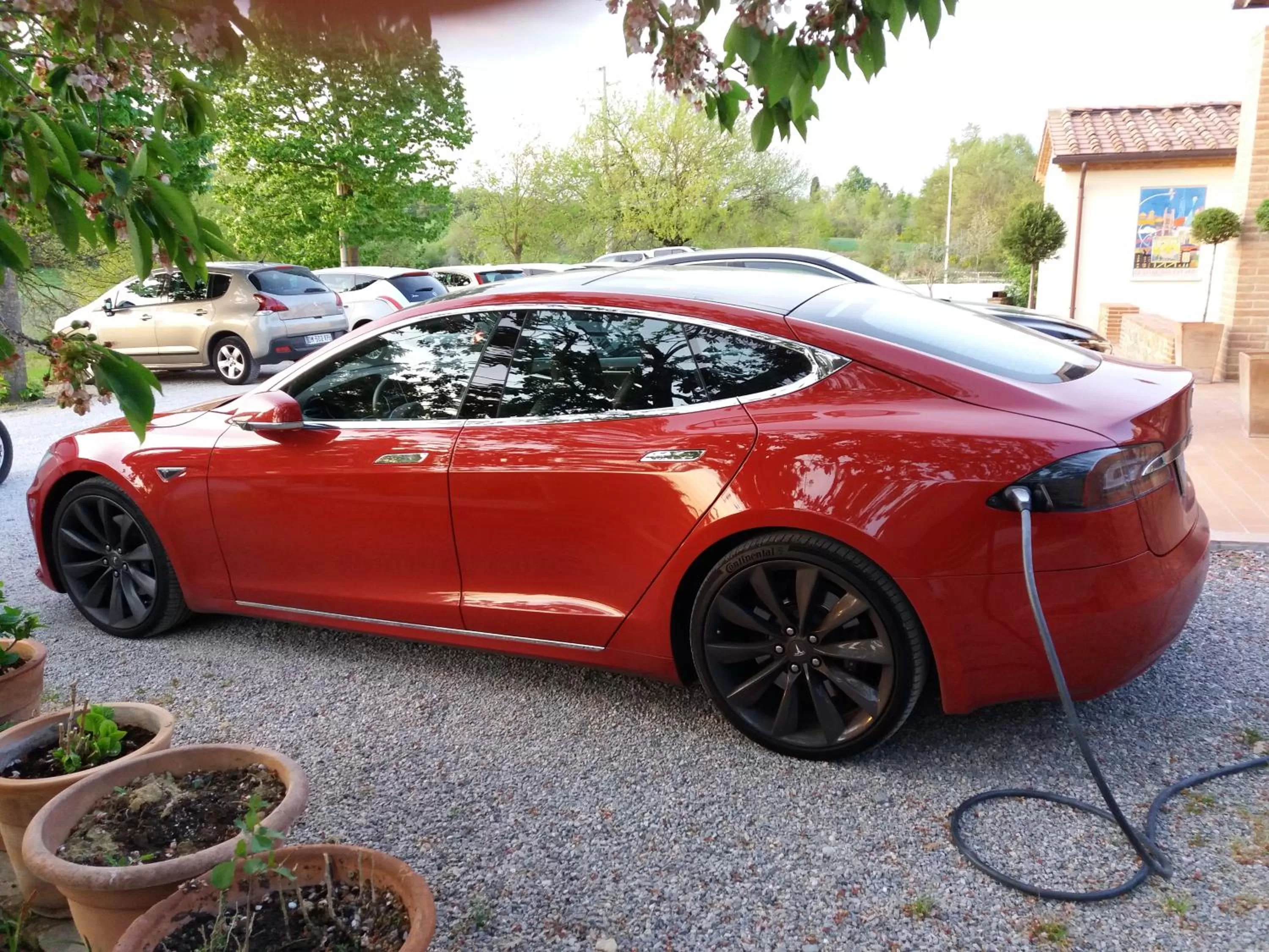 Area and facilities in Albergo La Foresteria