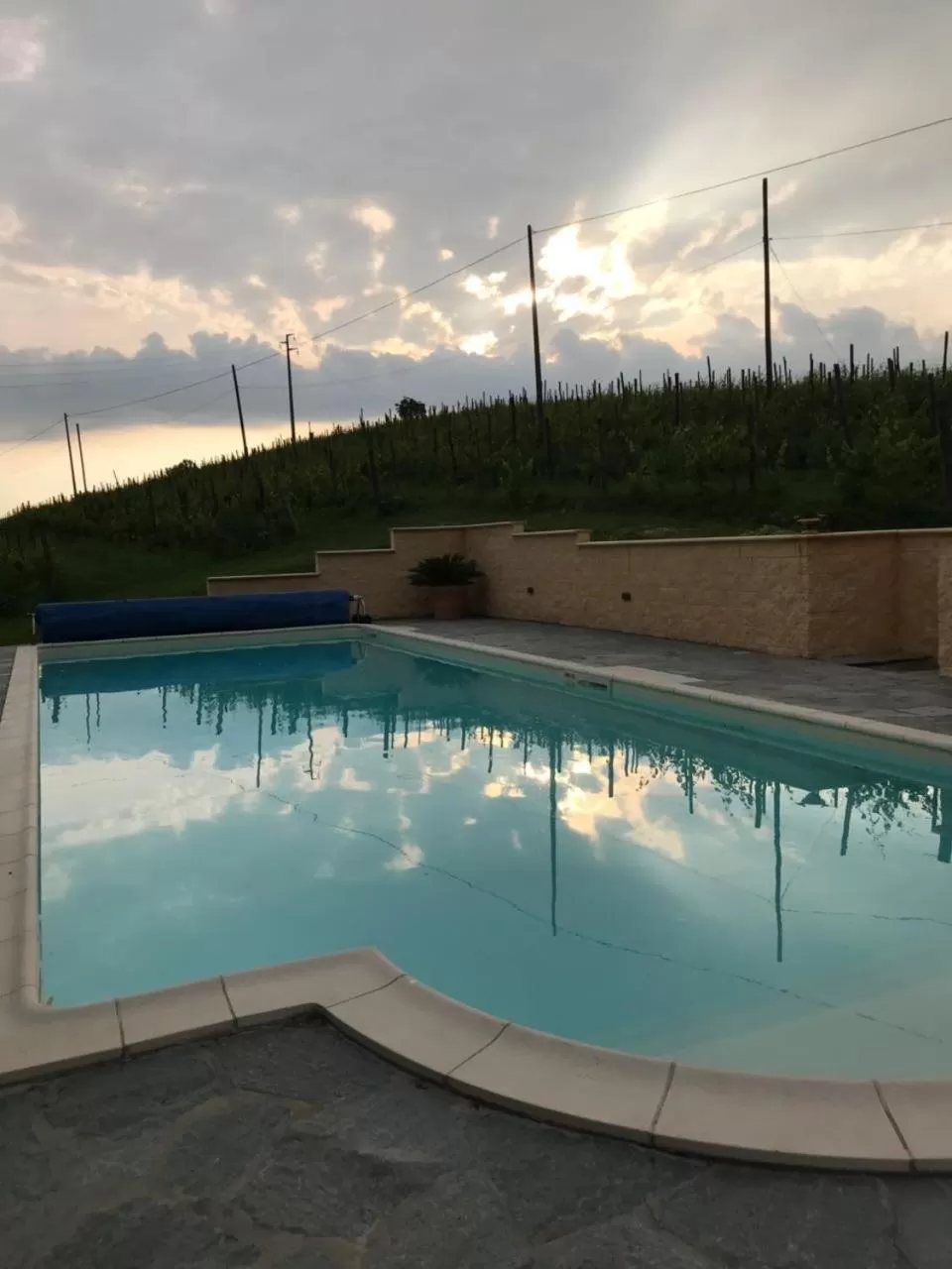 Swimming pool in Villa Vigneto