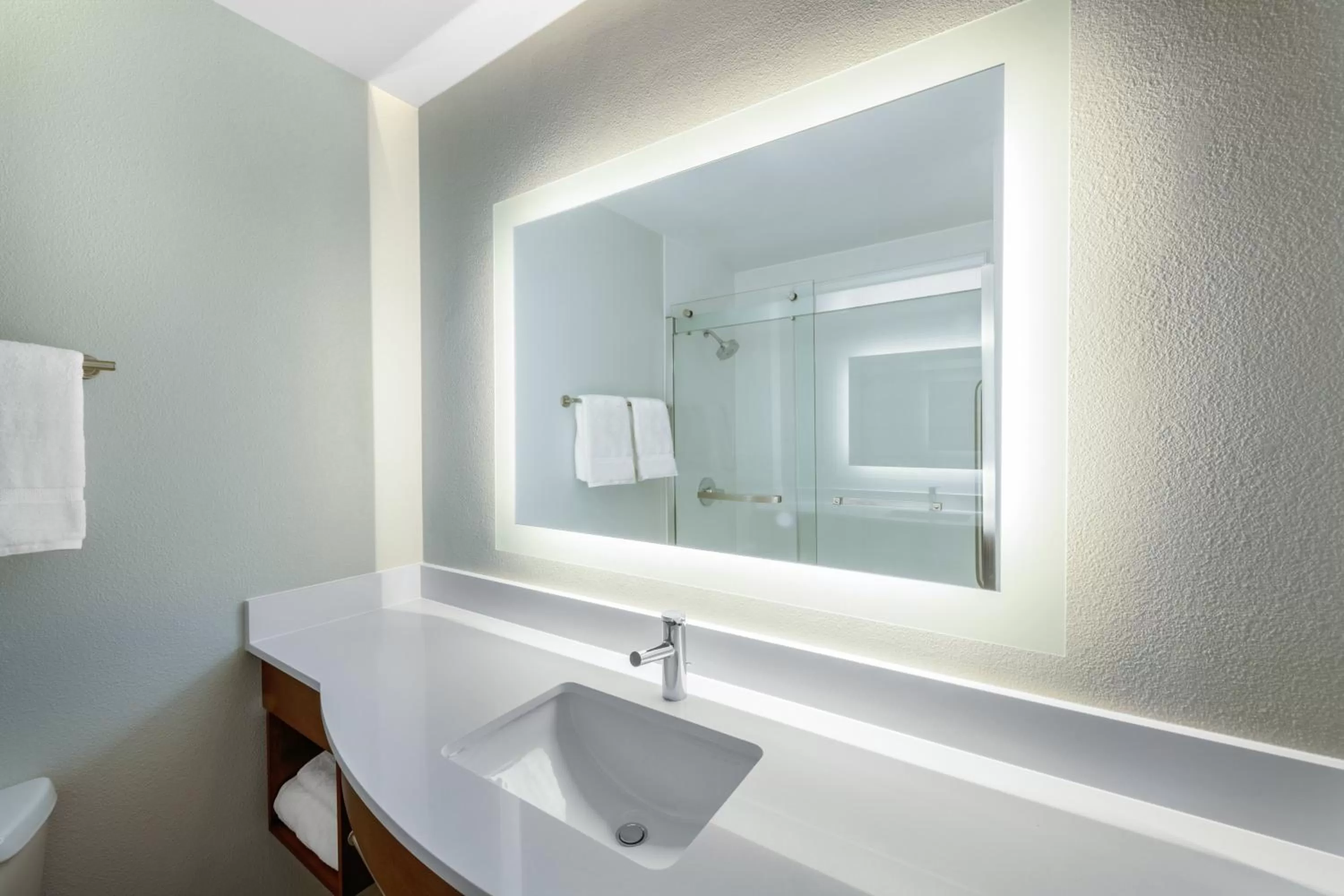 Bathroom in Holiday Inn Express & Suites Colorado Springs-Airport by IHG