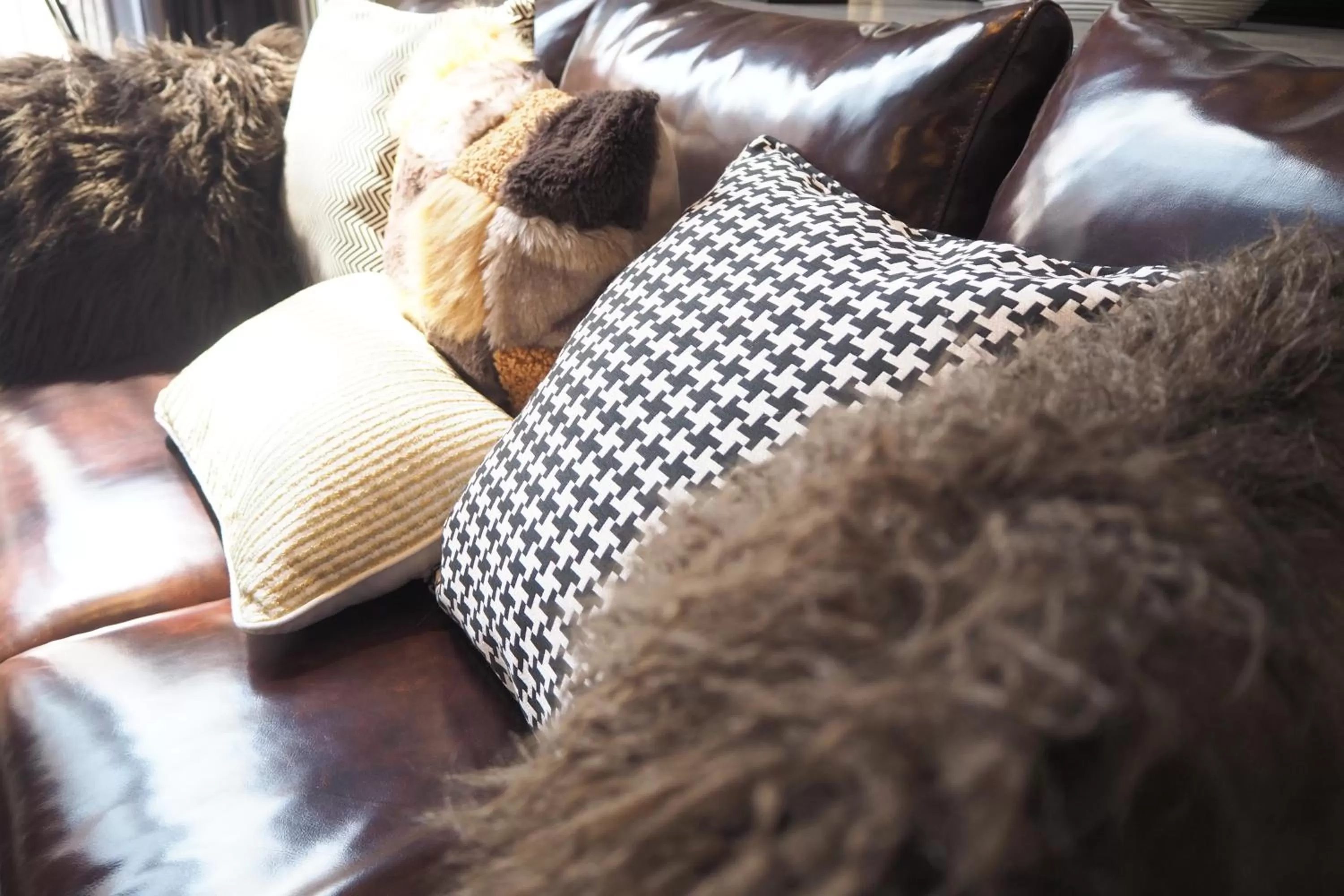 Other in SN Connx - SHA Plus