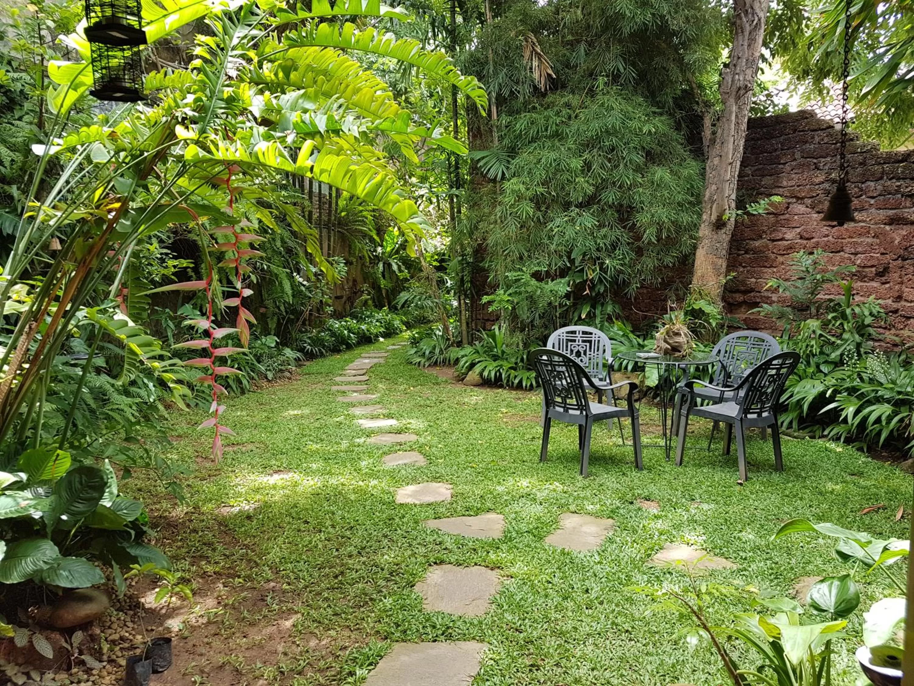 Natural landscape, Garden in Highbury Colombo