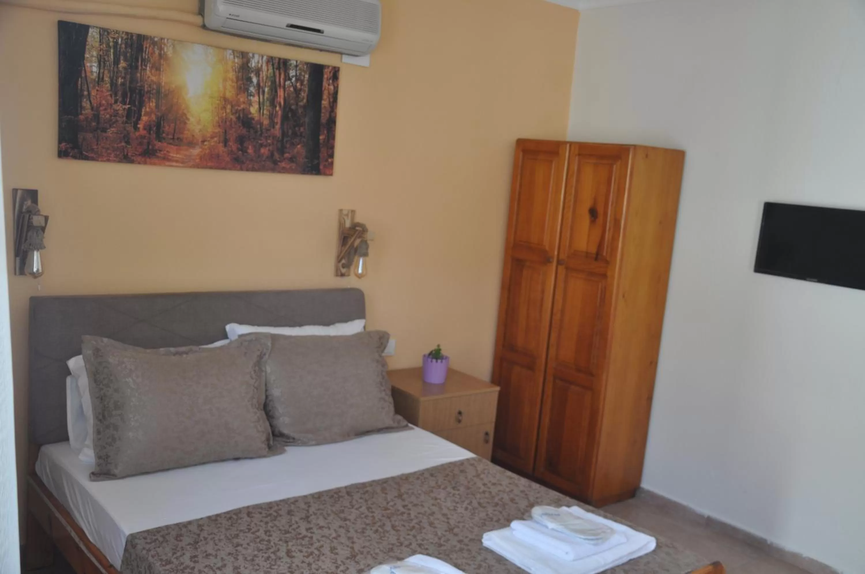 Photo of the whole room in Dalyando Apart