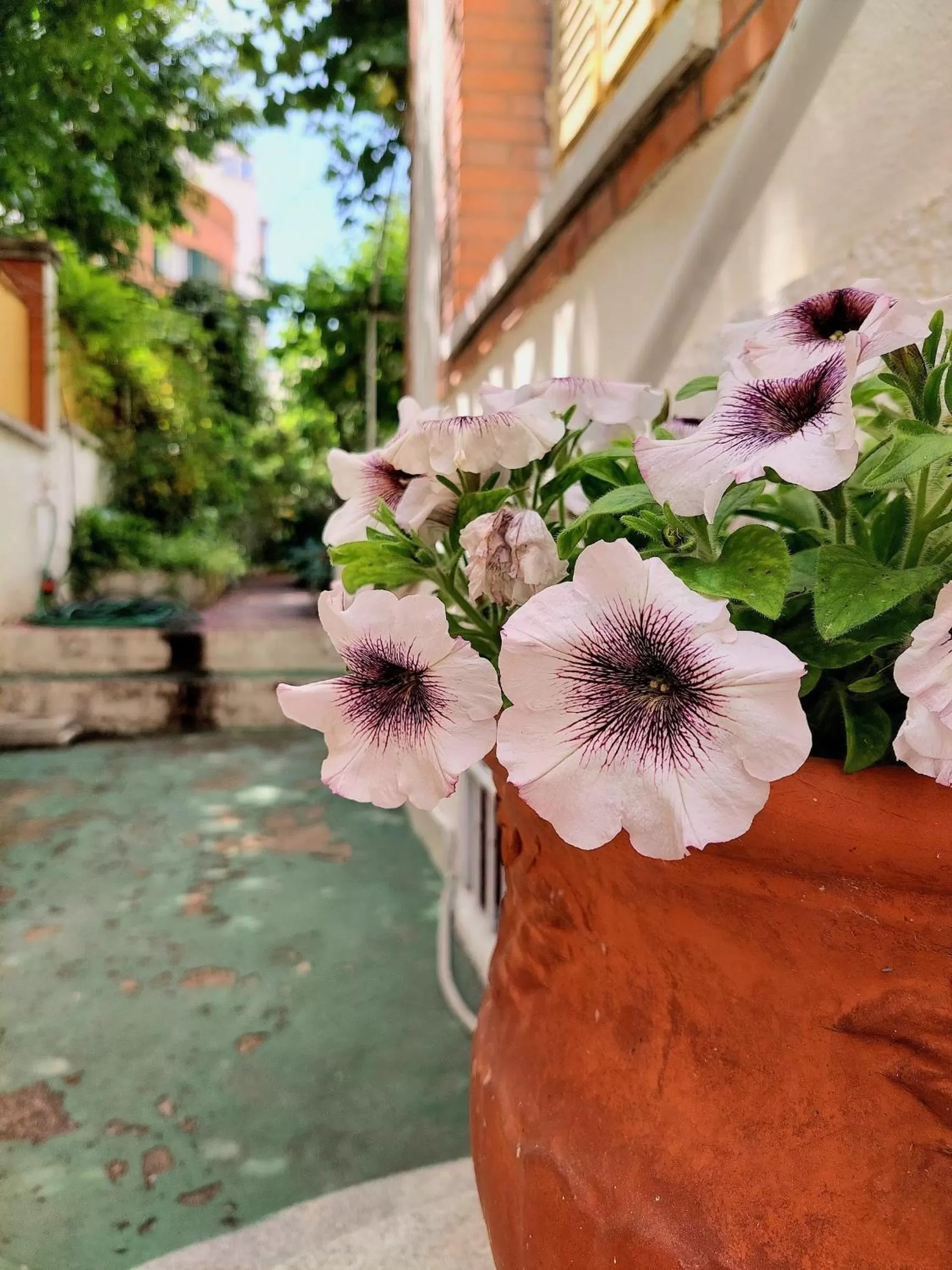 Property building in N1 Casa de Madrid - greenpeace line