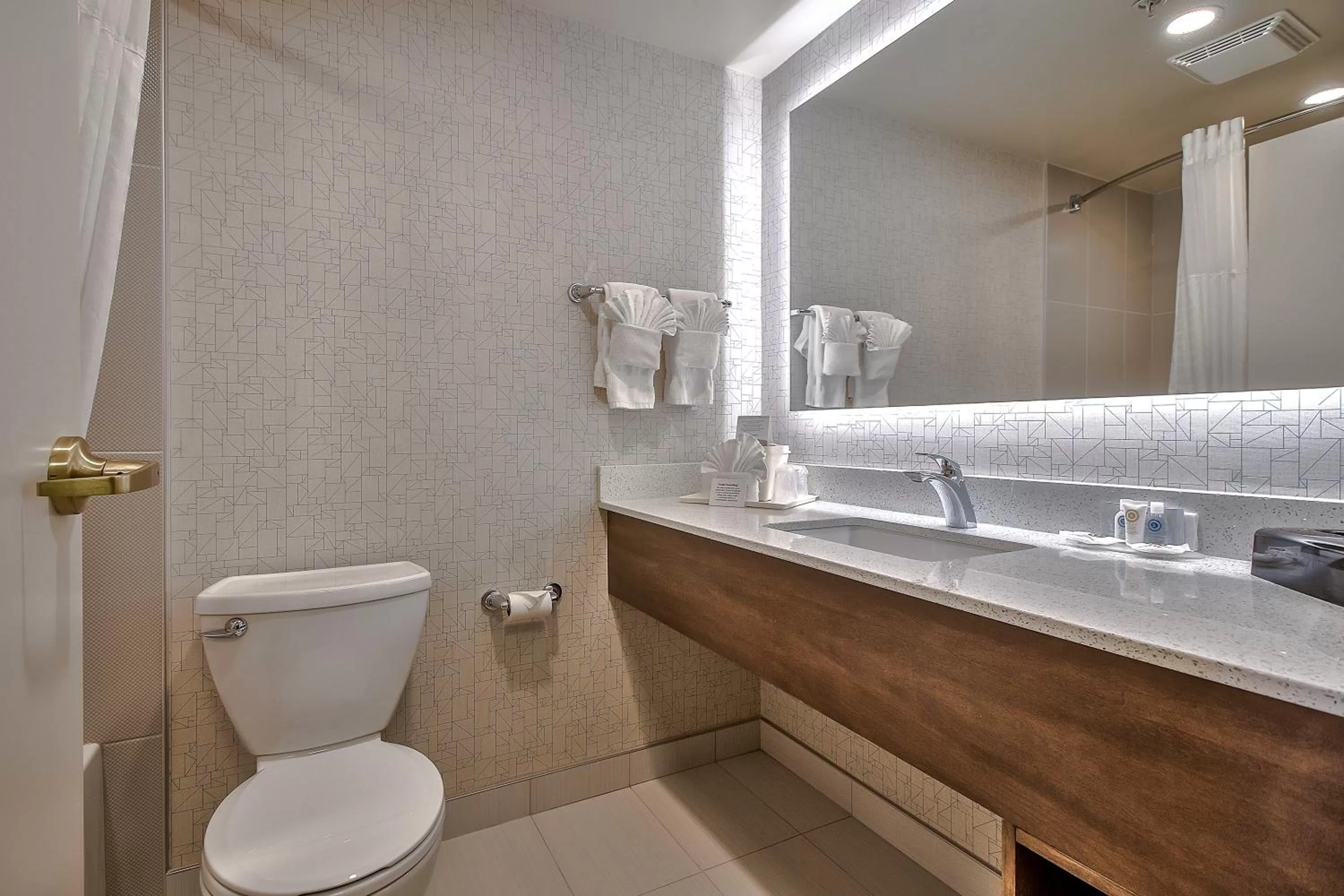 Bathroom in Comfort Inn & Suites South