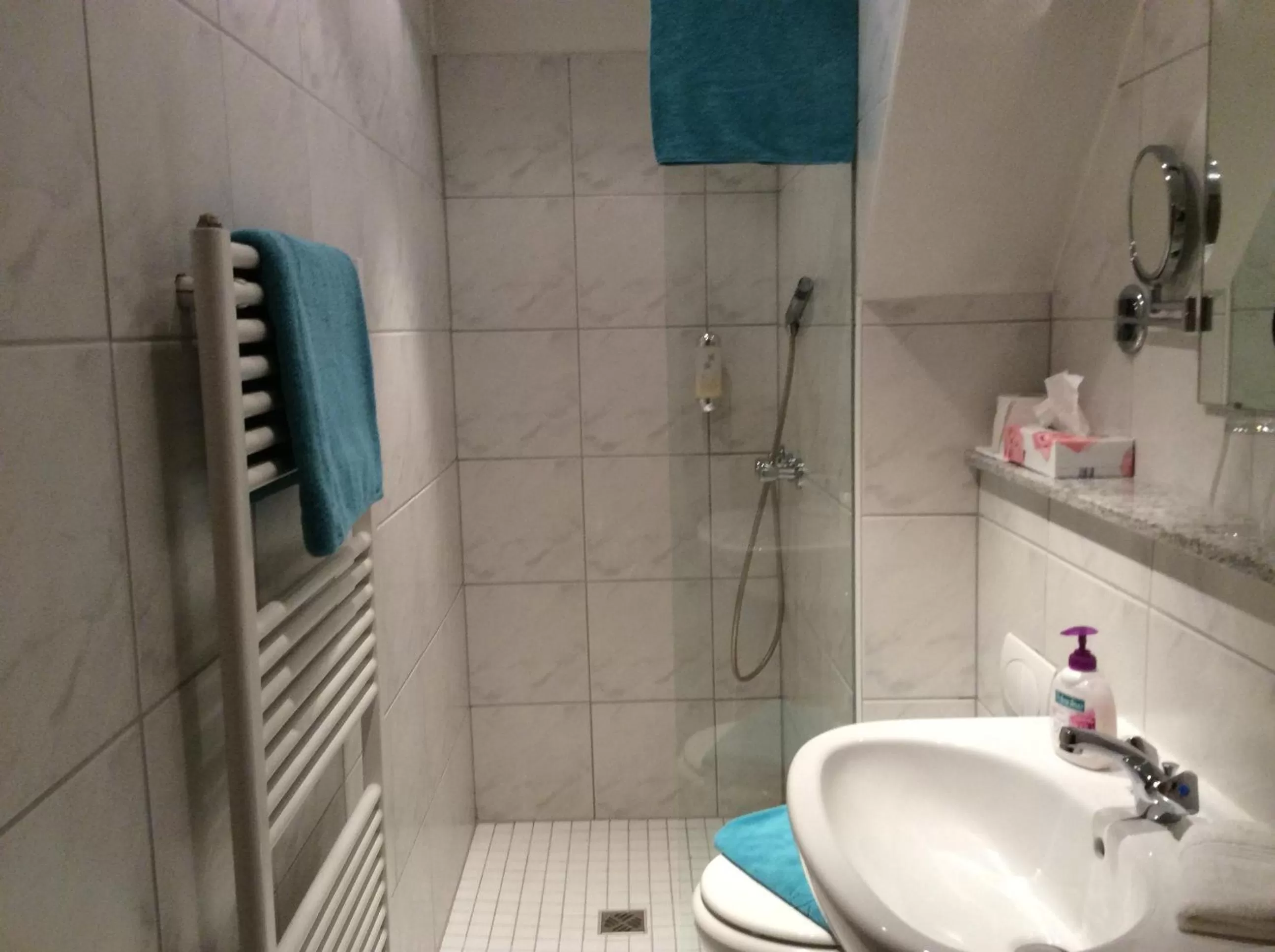Shower in Hotel Gerberhaus