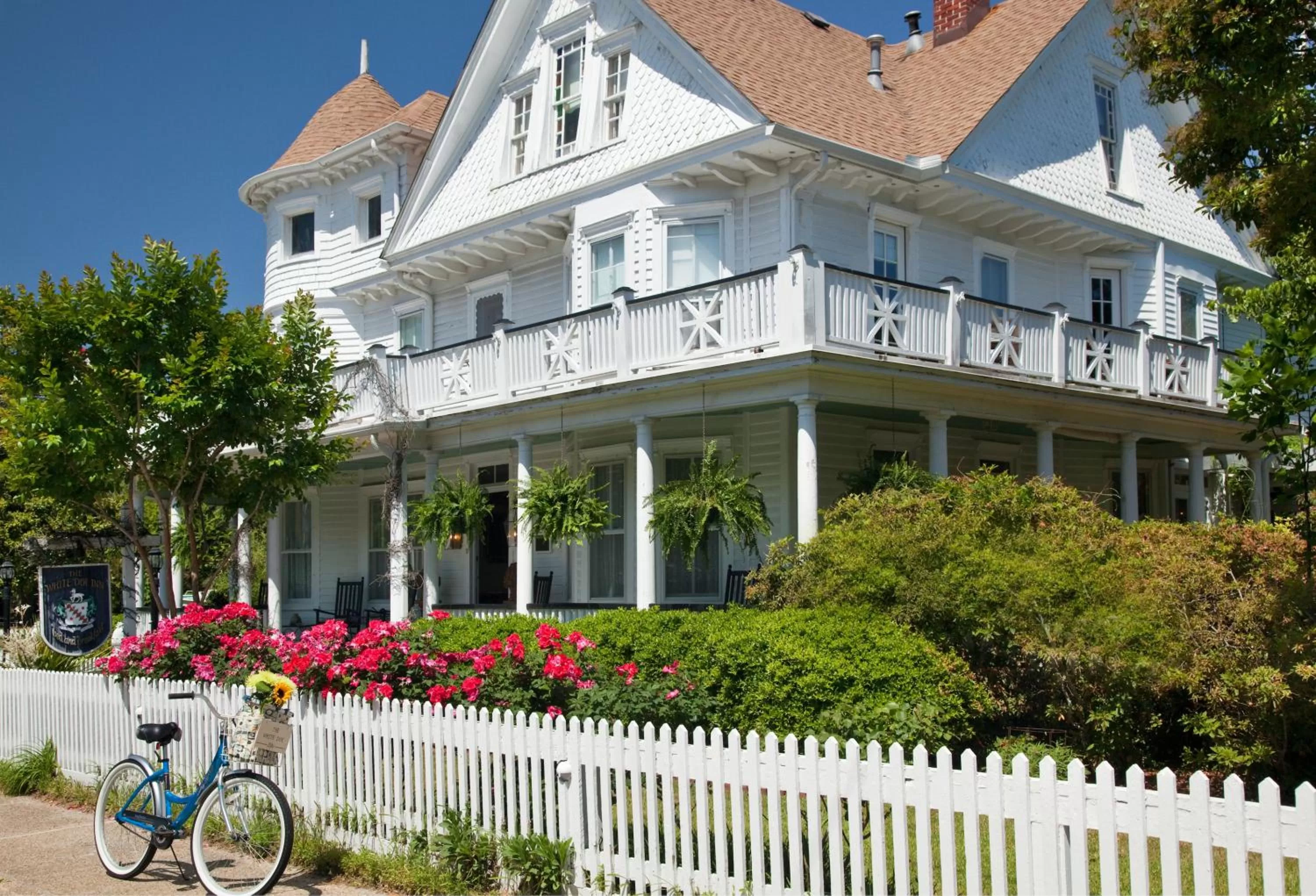 Property building in White Doe Inn Bed & Breakfast