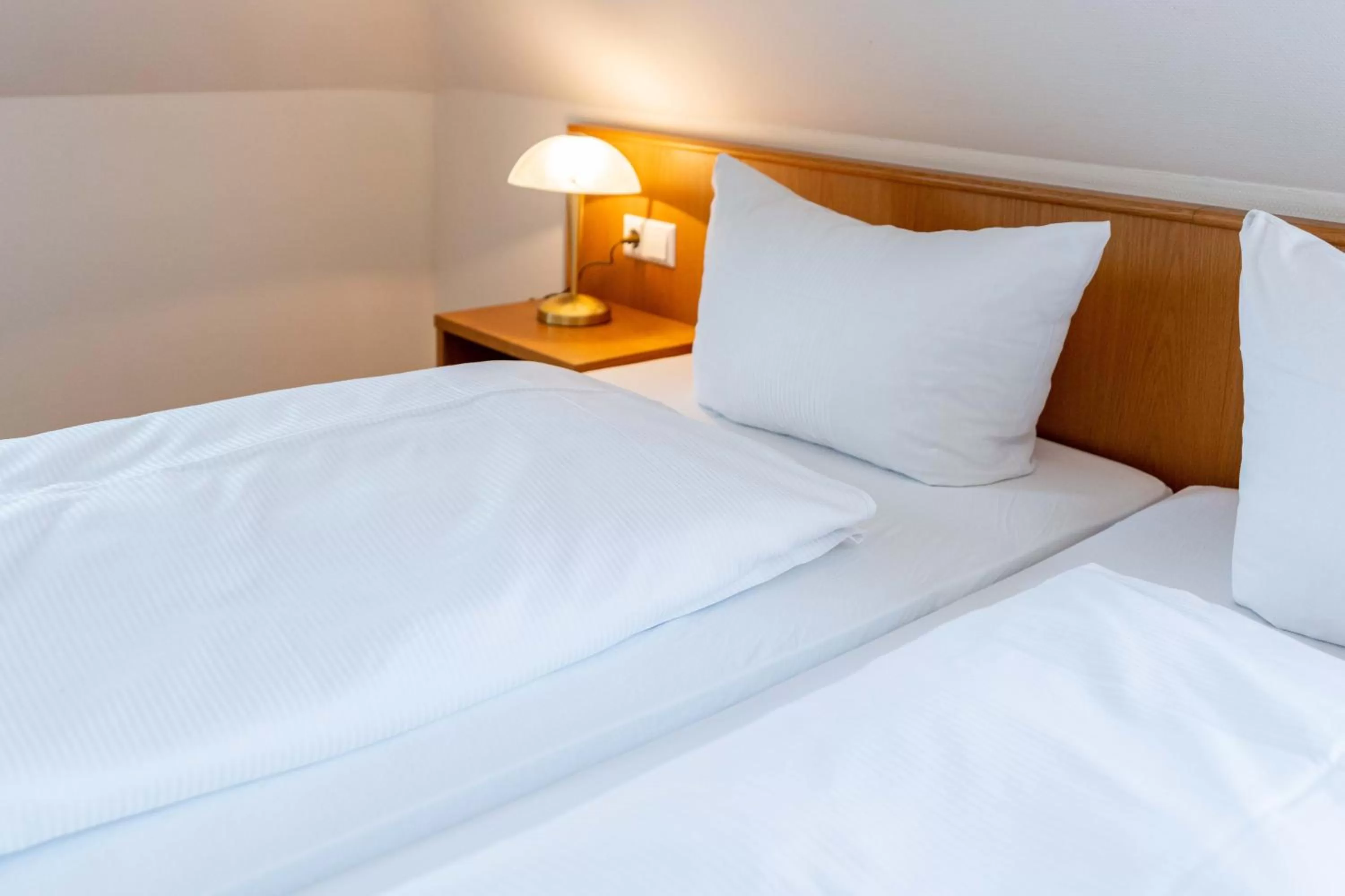 Bed in Hotel am Römerplatz