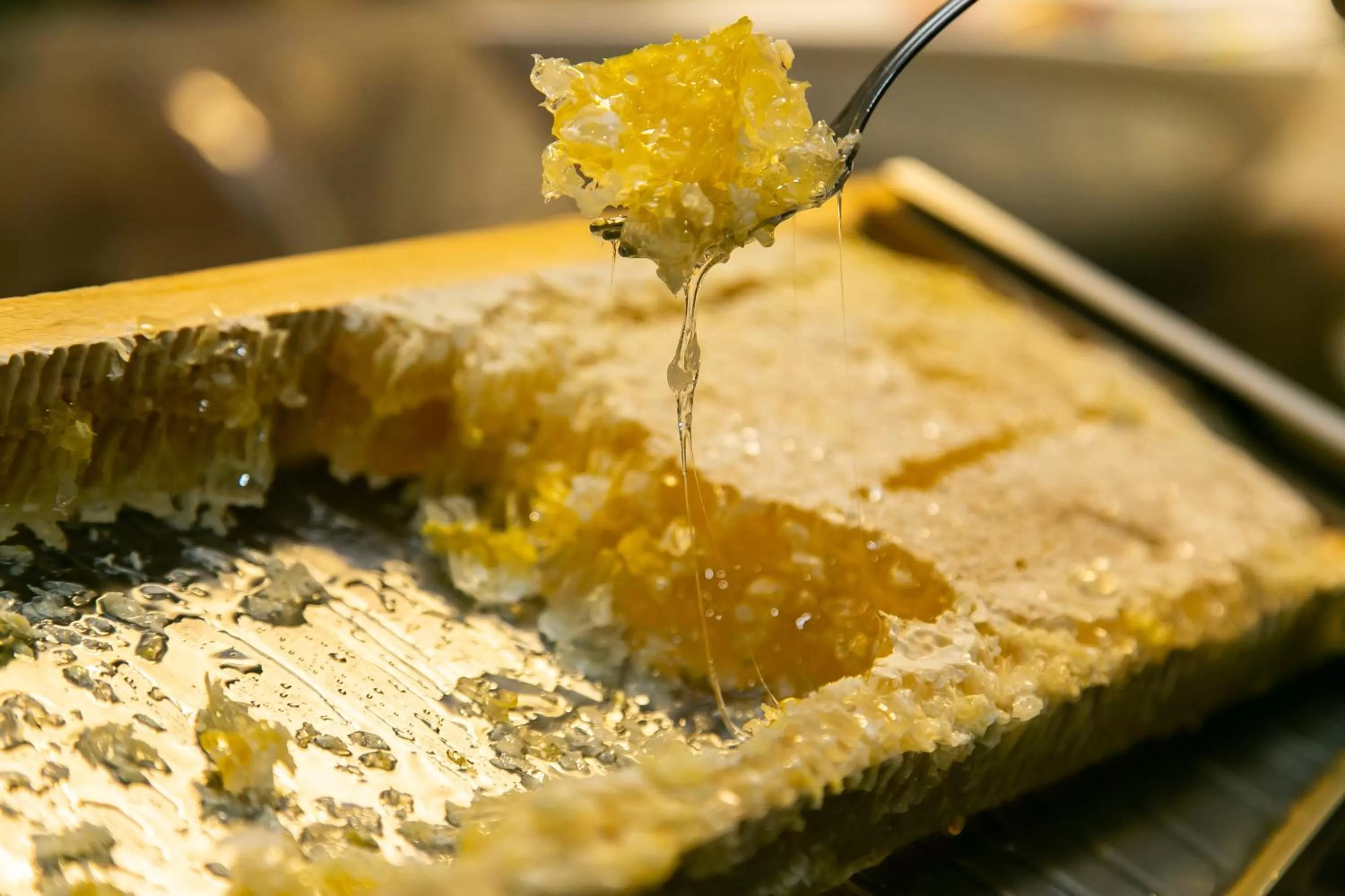 Buffet breakfast in Gottwalds Inn