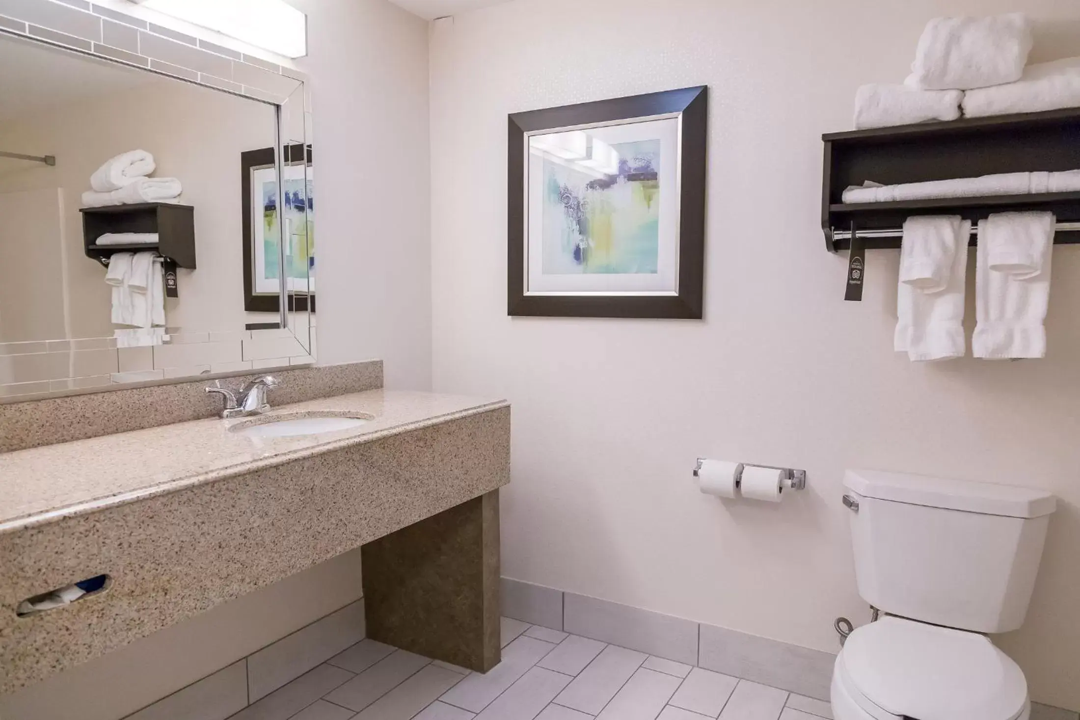 Queen Room with Roll In Shower - Mobility Accessible/Non-Smoking in Holiday Inn & Suites Syracuse Airport - Liverpool, an IHG Hotel Queen Room with Roll In Shower - Mobility Accessible/Non-Smoking in Holiday Inn & Suites Syracuse Airport - Liverpool, an IHG Hotel