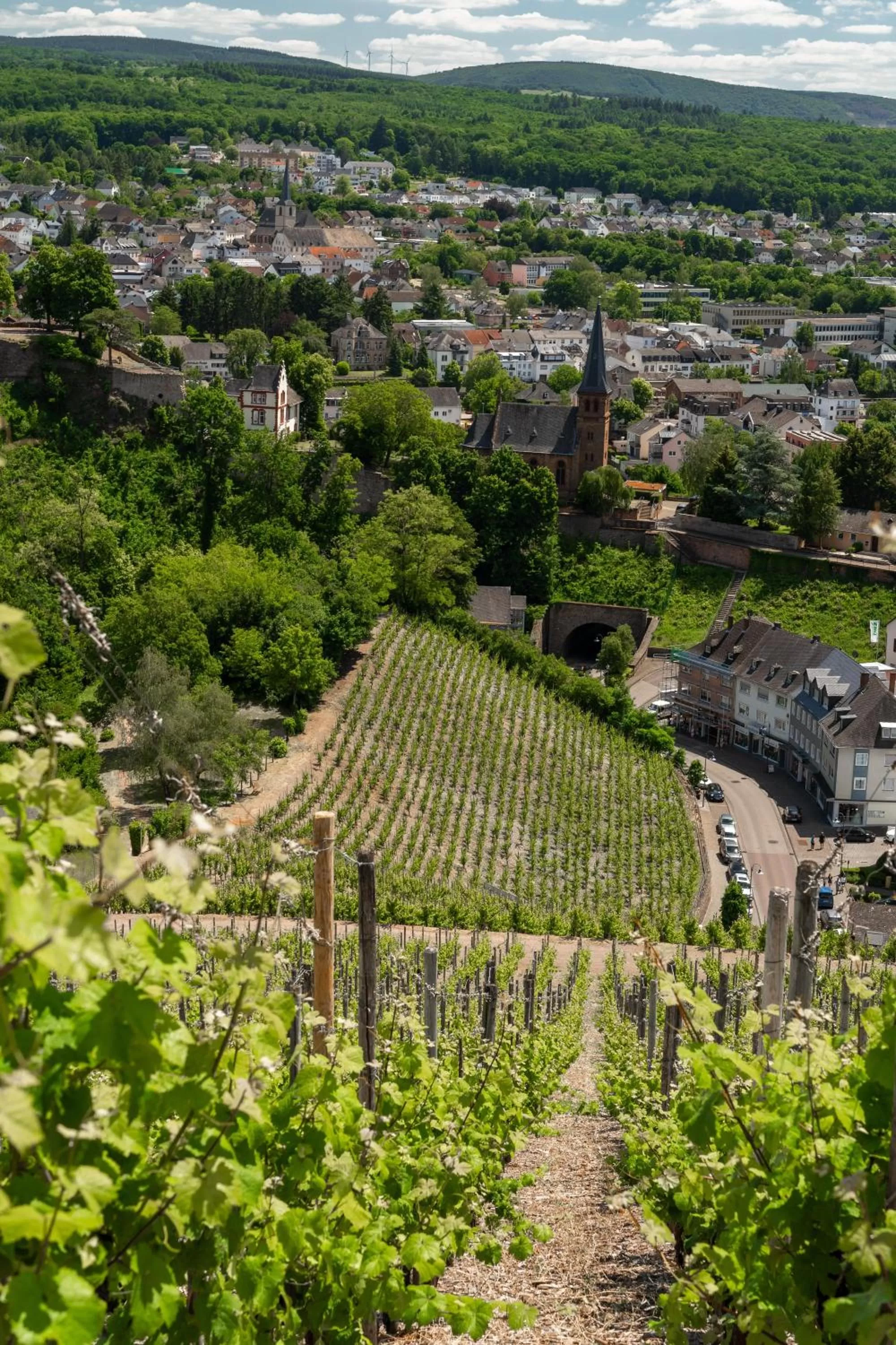 Natural landscape in Saar Galerie