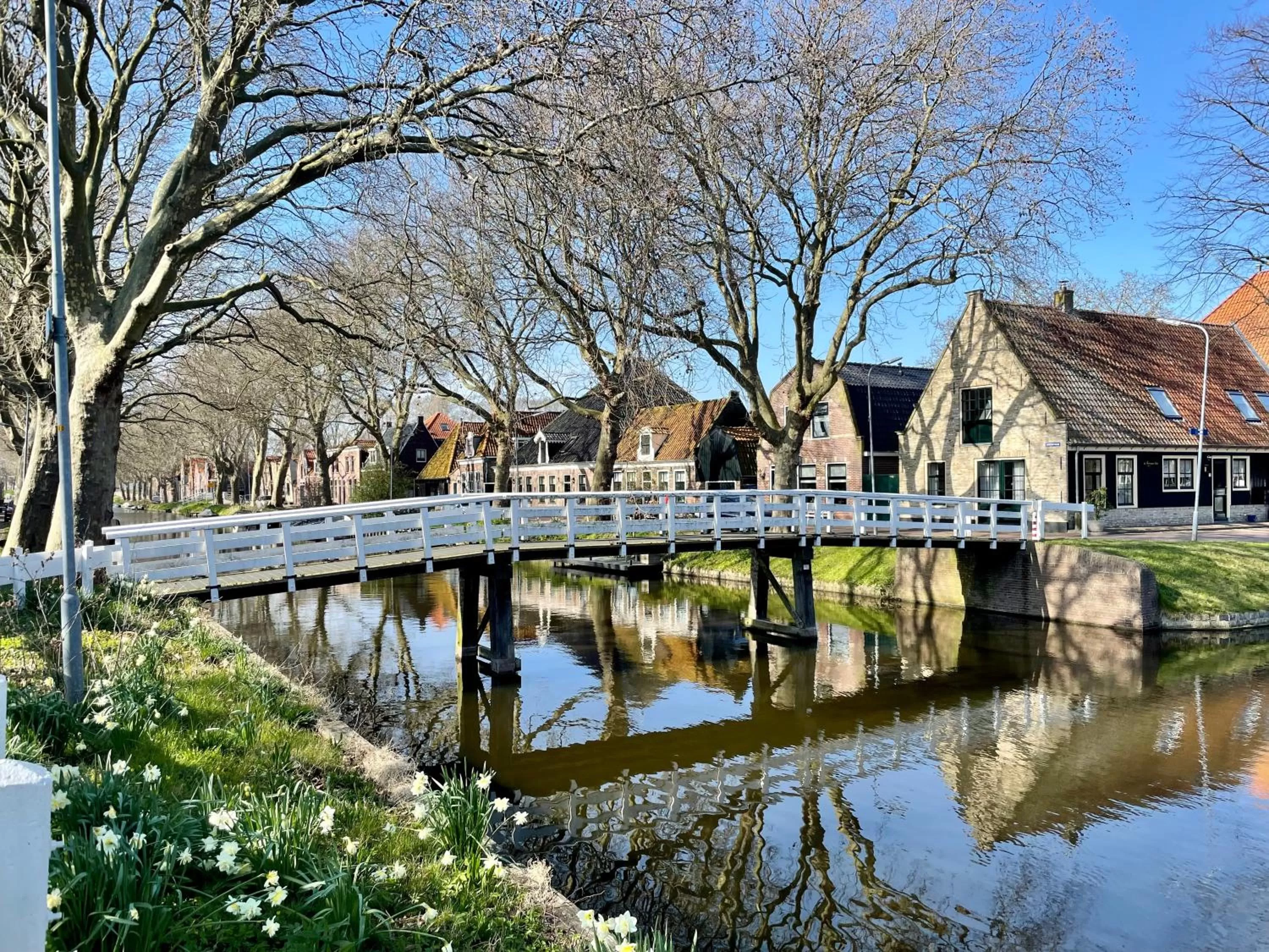 Neighbourhood, Swimming Pool in Hotel De Koepoort