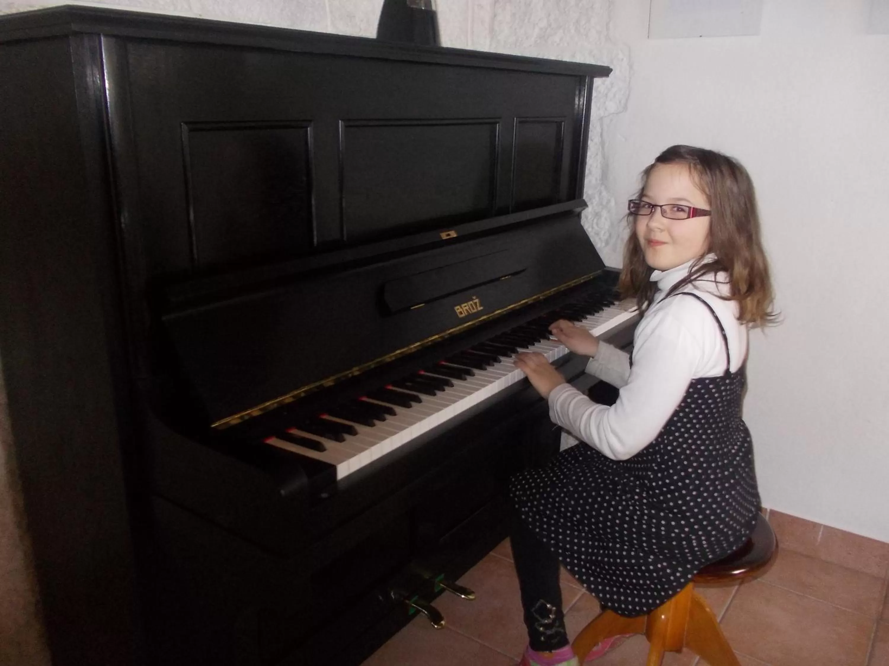 Evening entertainment in Pension U Jelinka