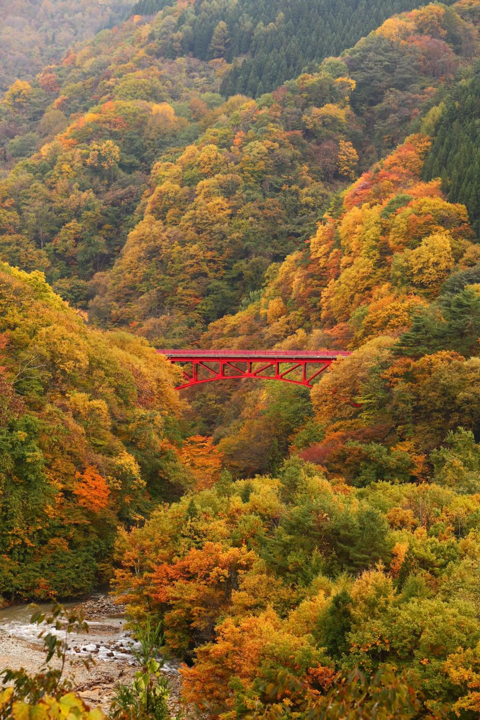 Nearby landmark in Ryokan Warabino