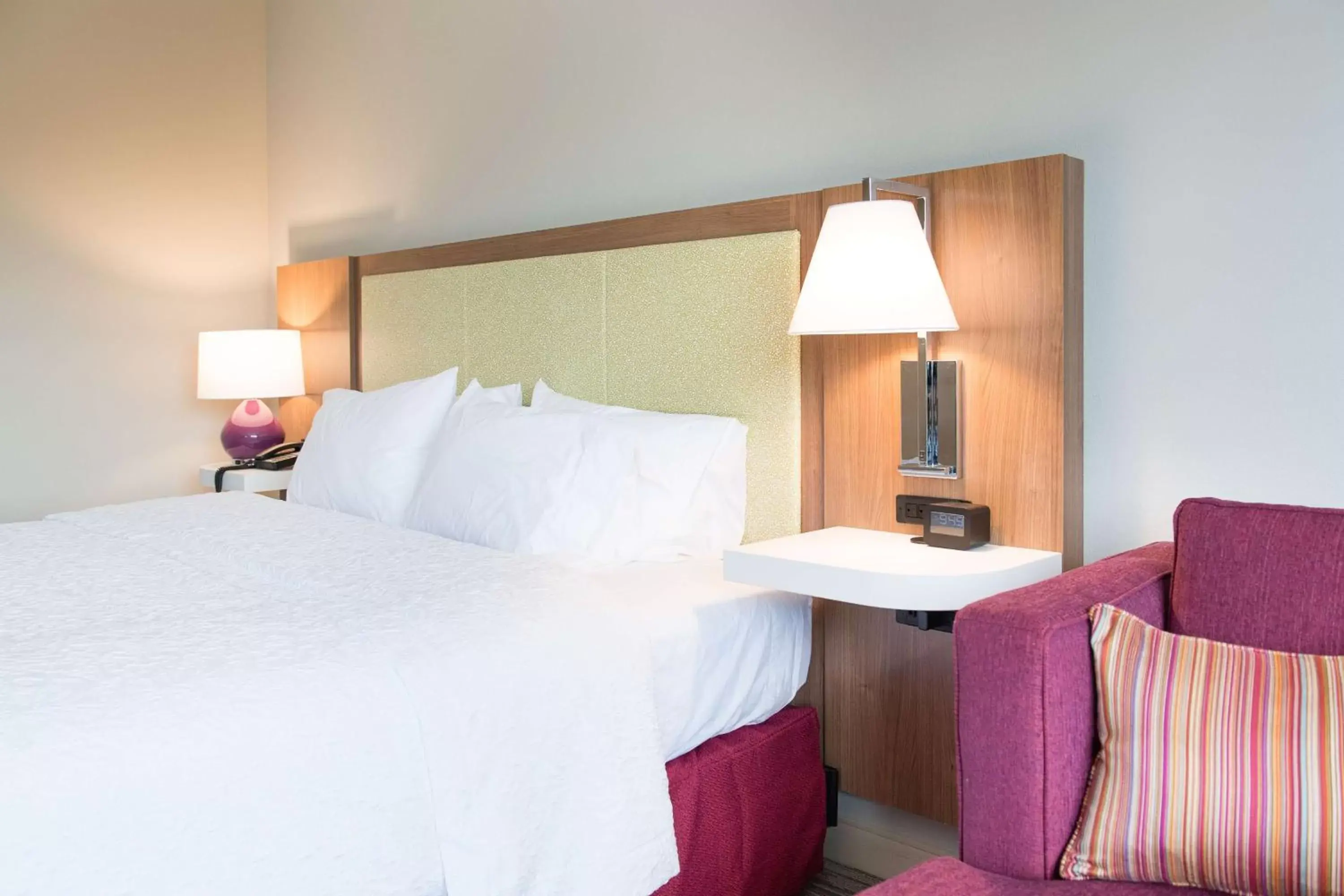 King Studio Suite with Sofabed- Hearing Accessible in Hampton Inn and Suites Fayetteville, NC King Studio Suite with Sofabed- Hearing Accessible in Hampton Inn and Suites Fayetteville, NC