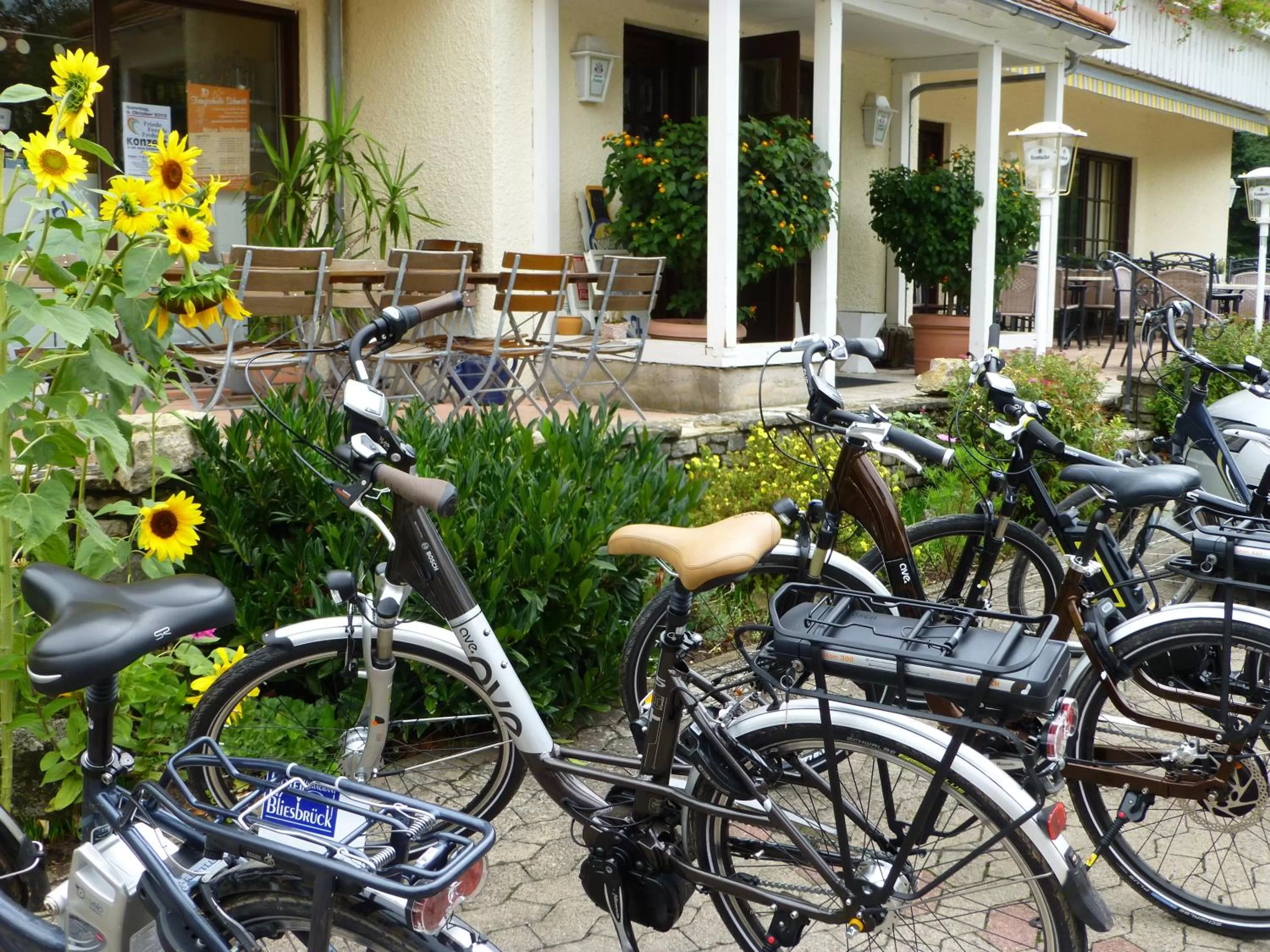 Cycling in Hotel Bliesbrück