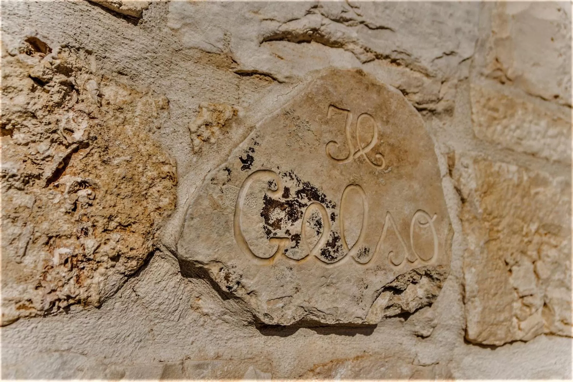 Logo/Certificate/Sign in Trulli Donna Isabella