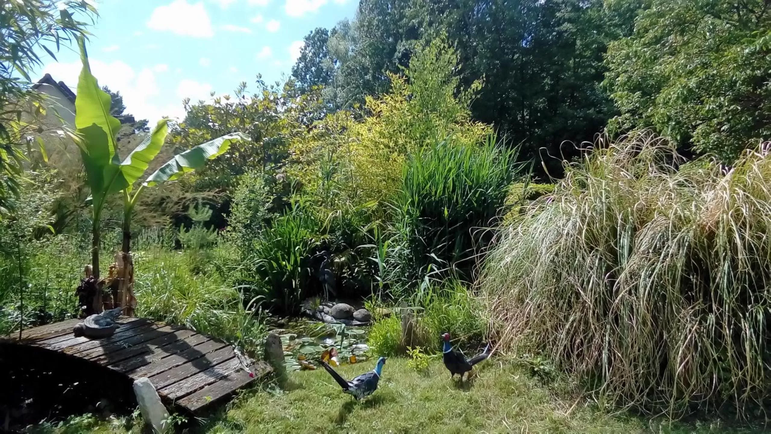 Property building in O tour du monde