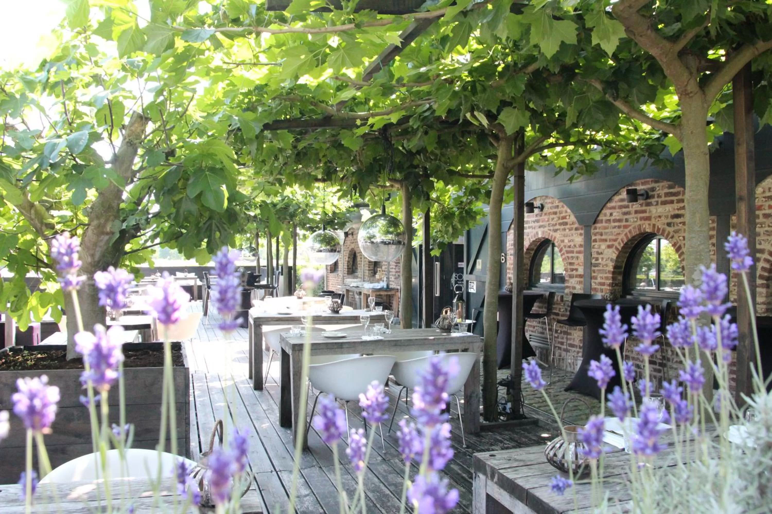 Balcony/Terrace in Landgoed Kasteel de Hoogenweerth