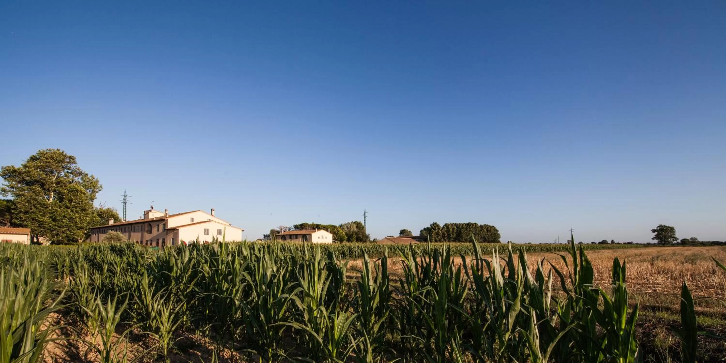 Garden in Cascina Canova