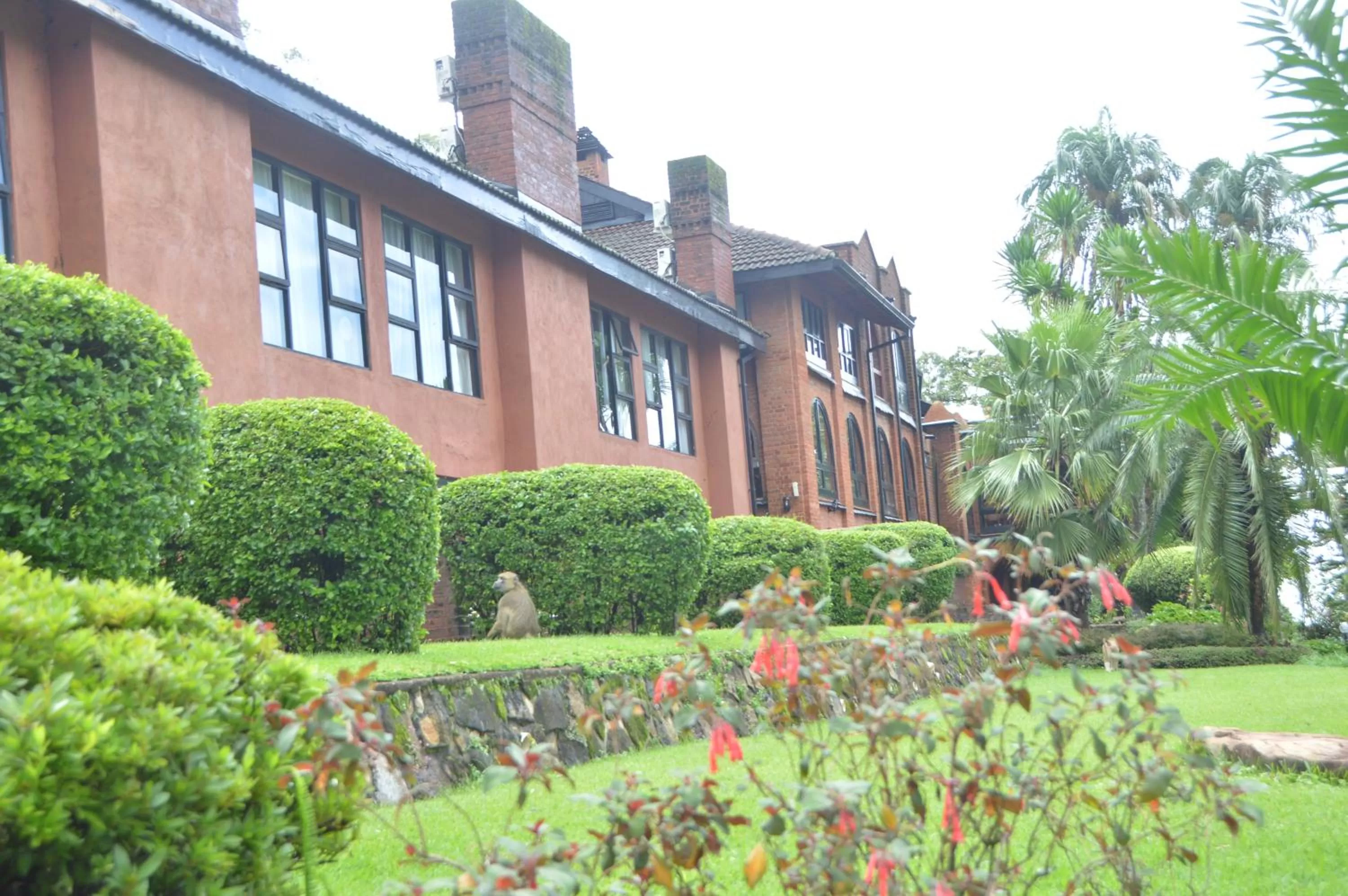 Property building in Sunbird Ku Chawe