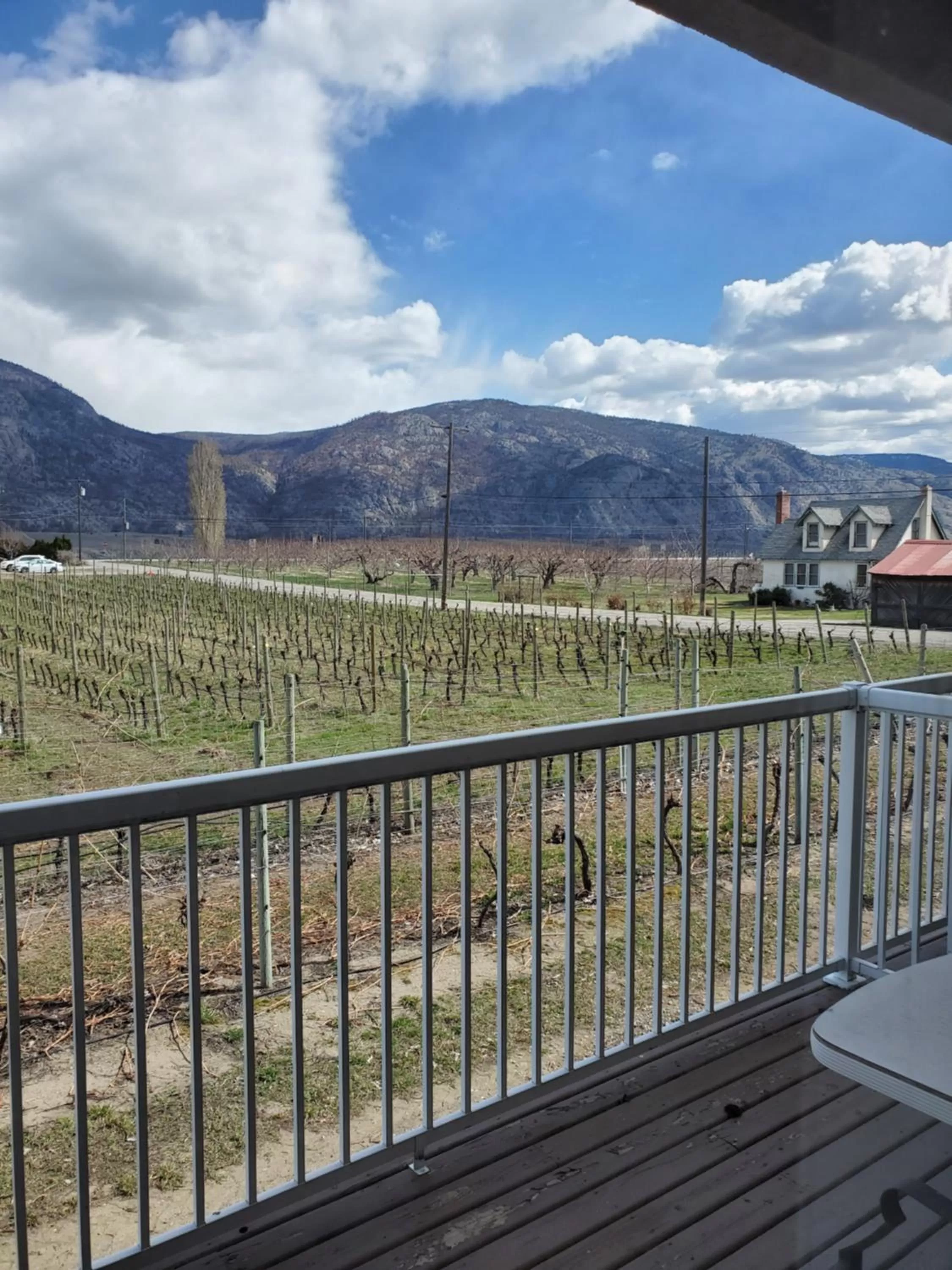 Mountain View in Sonora Desert Inn