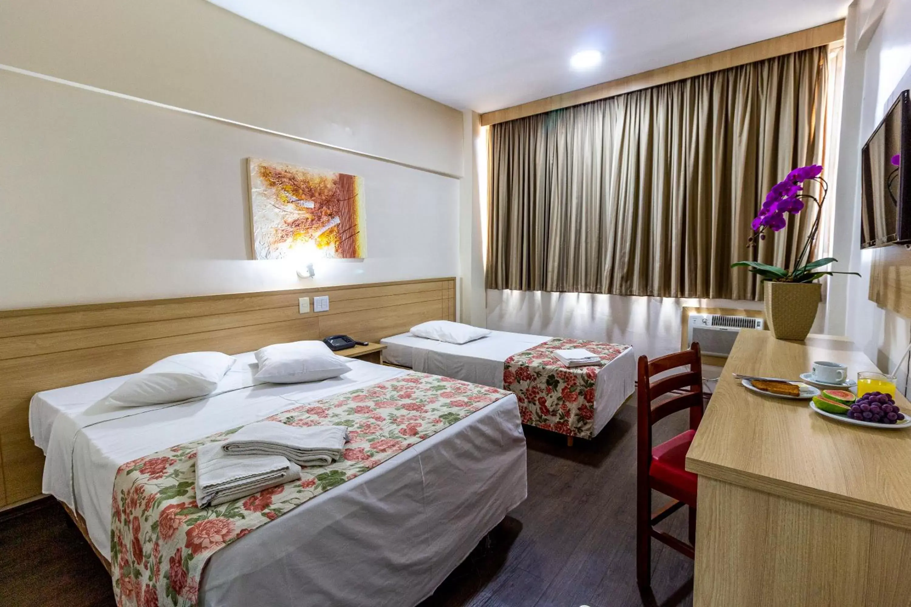 Economy Double Room in Hotel Nacional Inn Piracicaba Economy Double Room in Hotel Nacional Inn Piracicaba