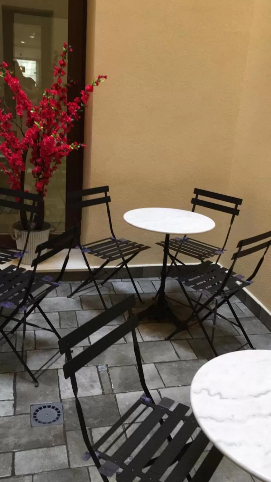 Patio in New Point Opera