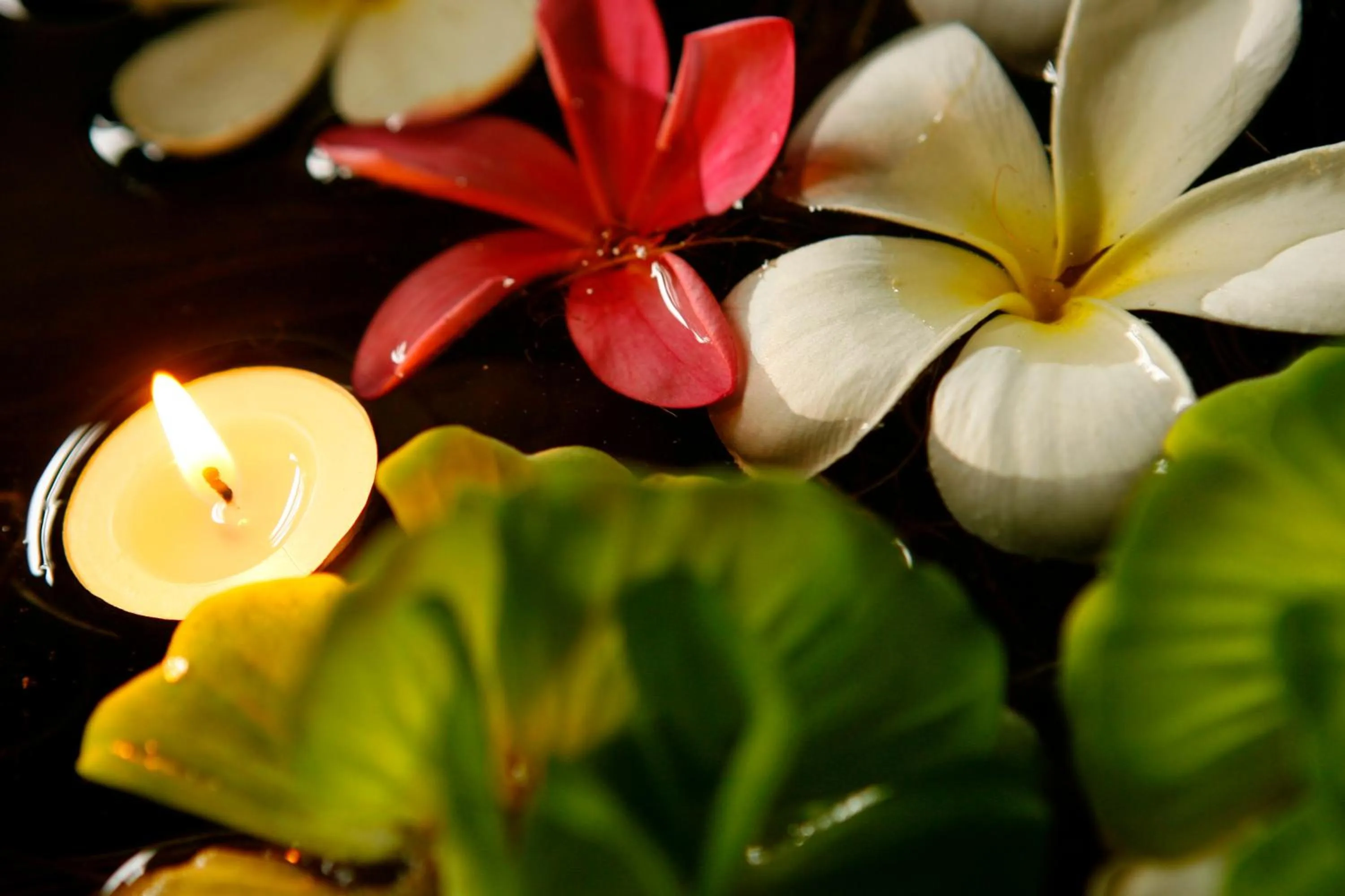 View (from property/room) in The Qamar Paka, Terengganu